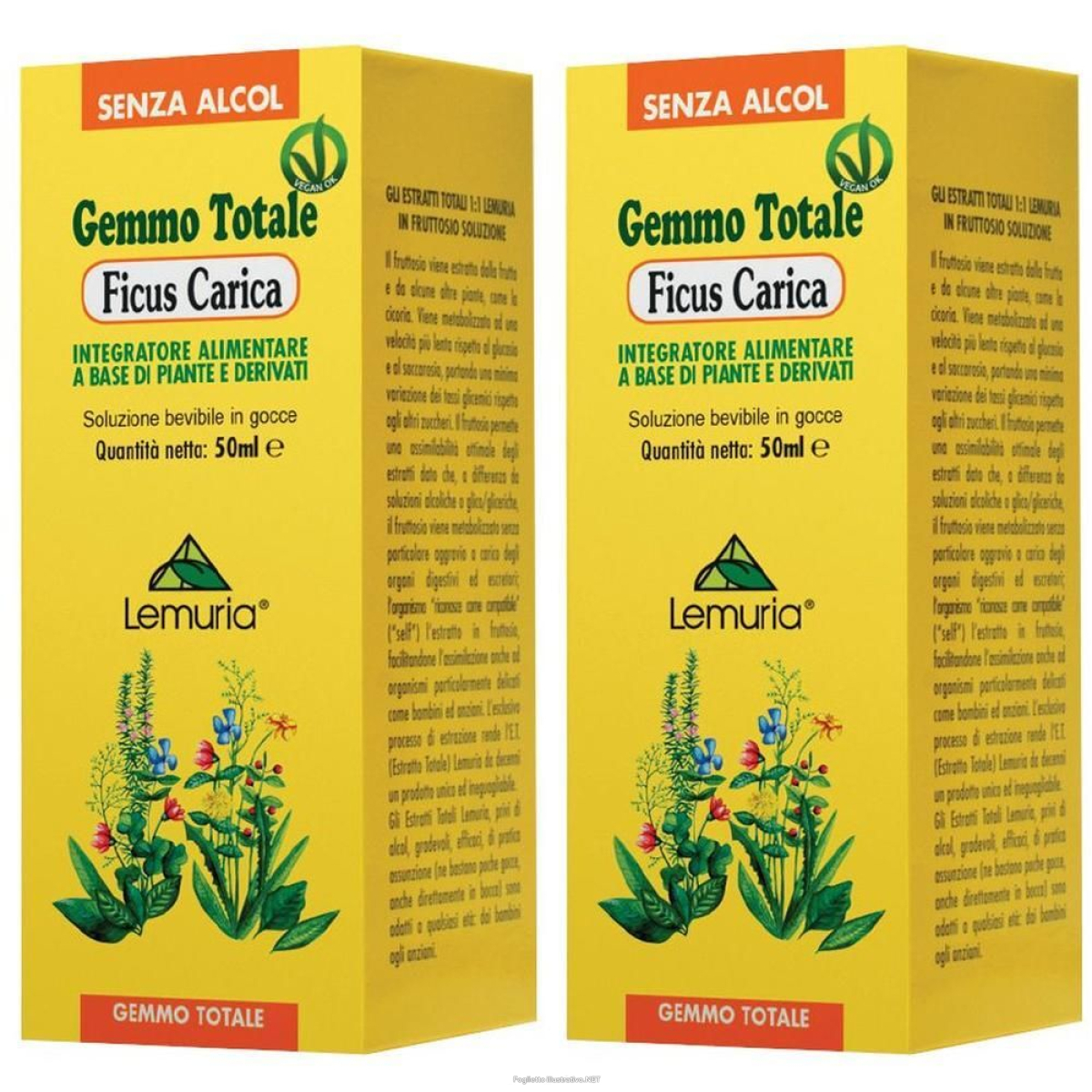 Compra Online ficus carica soluzione 2x100 ml orale e Trova l'offerta più bassa