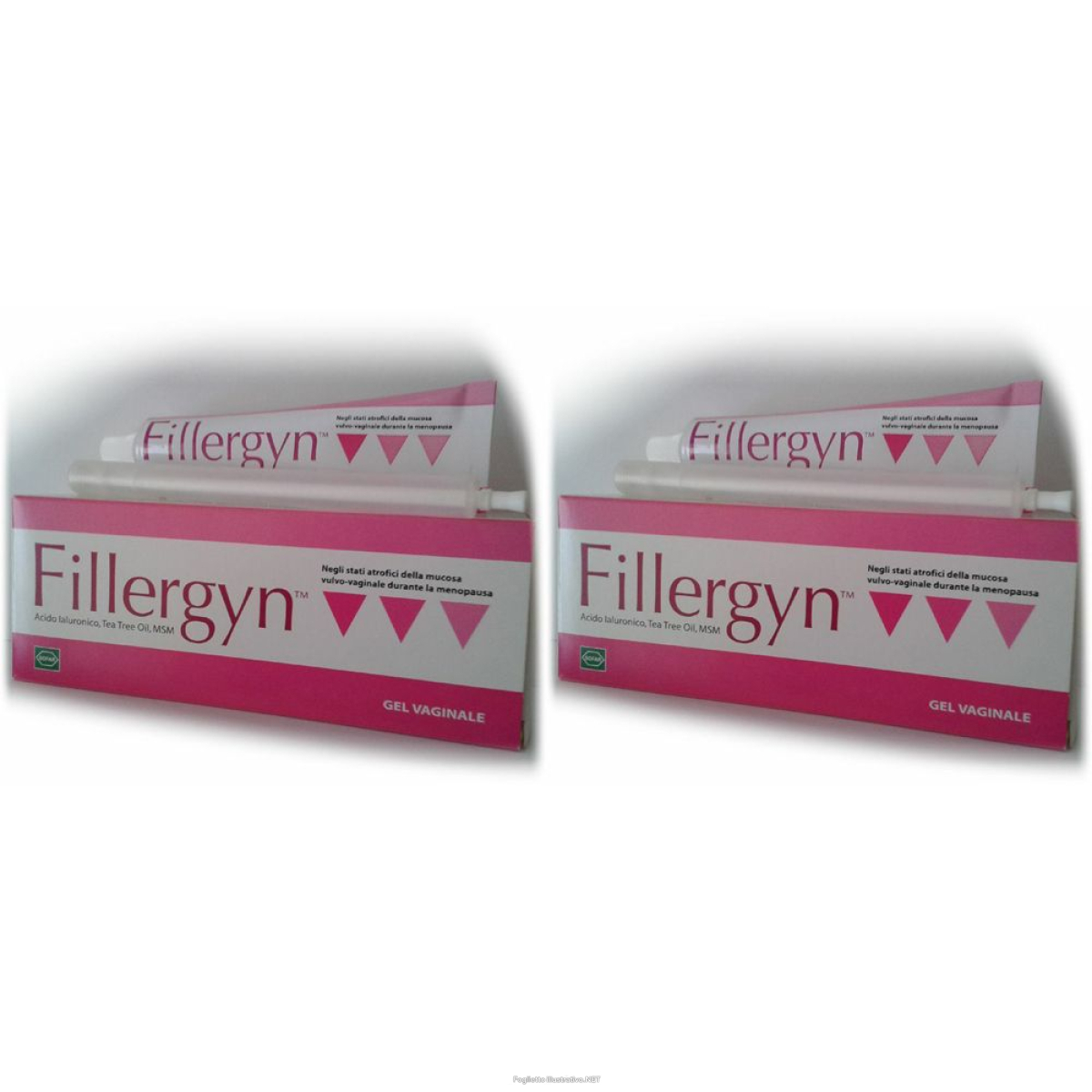 Compra Online fillergyn® gel vaginale set da 2 2x25 g vaginale e Trova l'offerta più bassa