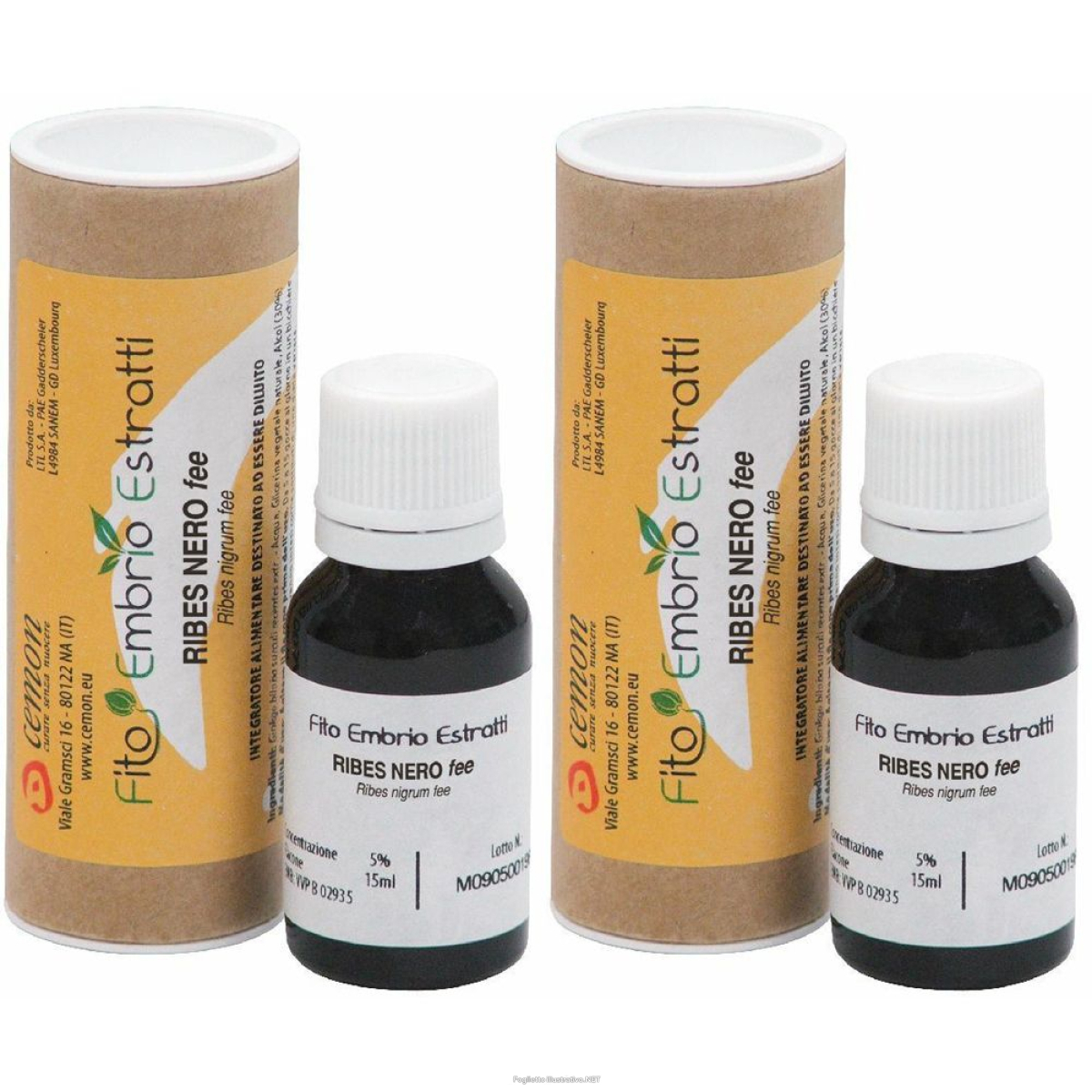 Compra Online fito embrio estratti ribes nero fee set da 2 2x15 ml soluzione e Trova l'offerta più bassa