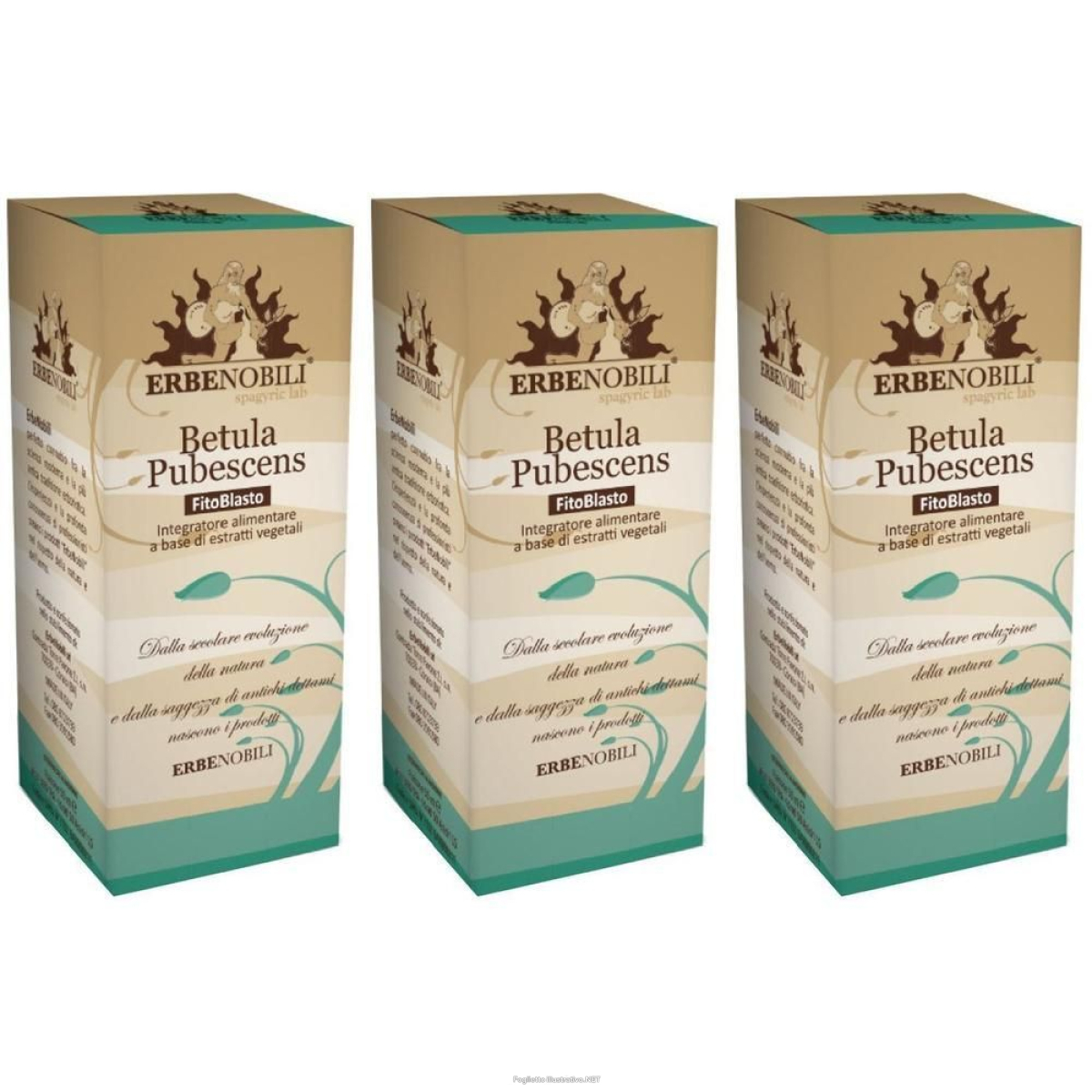 Compra Online fitoblasto betulla p 3x50 ml gocce orali e Trova l'offerta più bassa