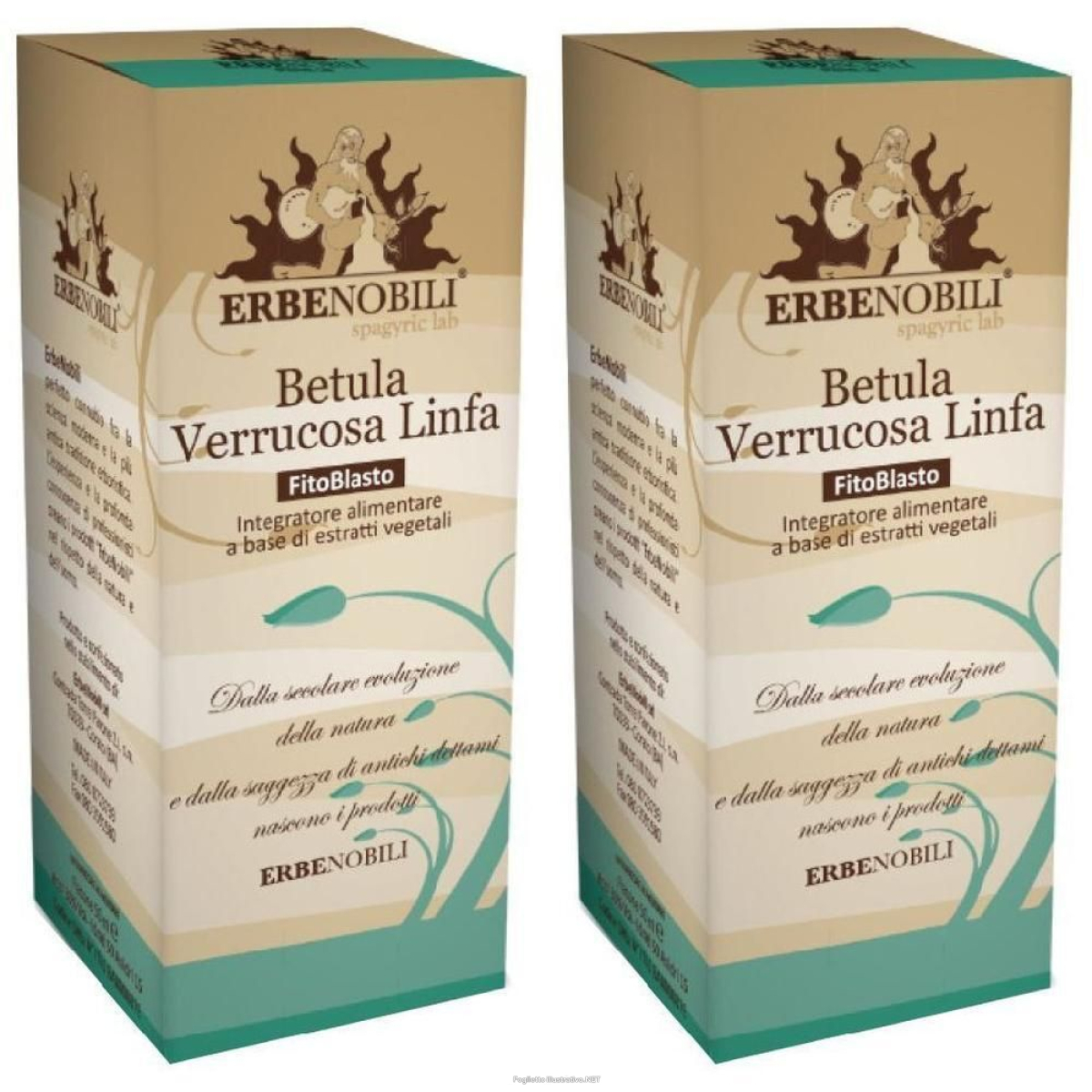 Compra Online fitoblasto betulla verrucosa linfa 50 ml 2x50 ml gocce orali e Trova l'offerta più bassa