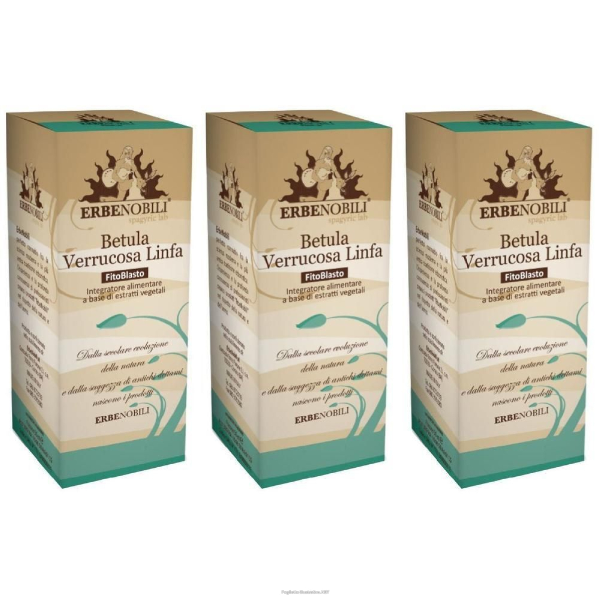 Compra Online fitoblasto betulla verrucosa linfa 50 ml 3x50 ml gocce orali e Trova l'offerta più bassa