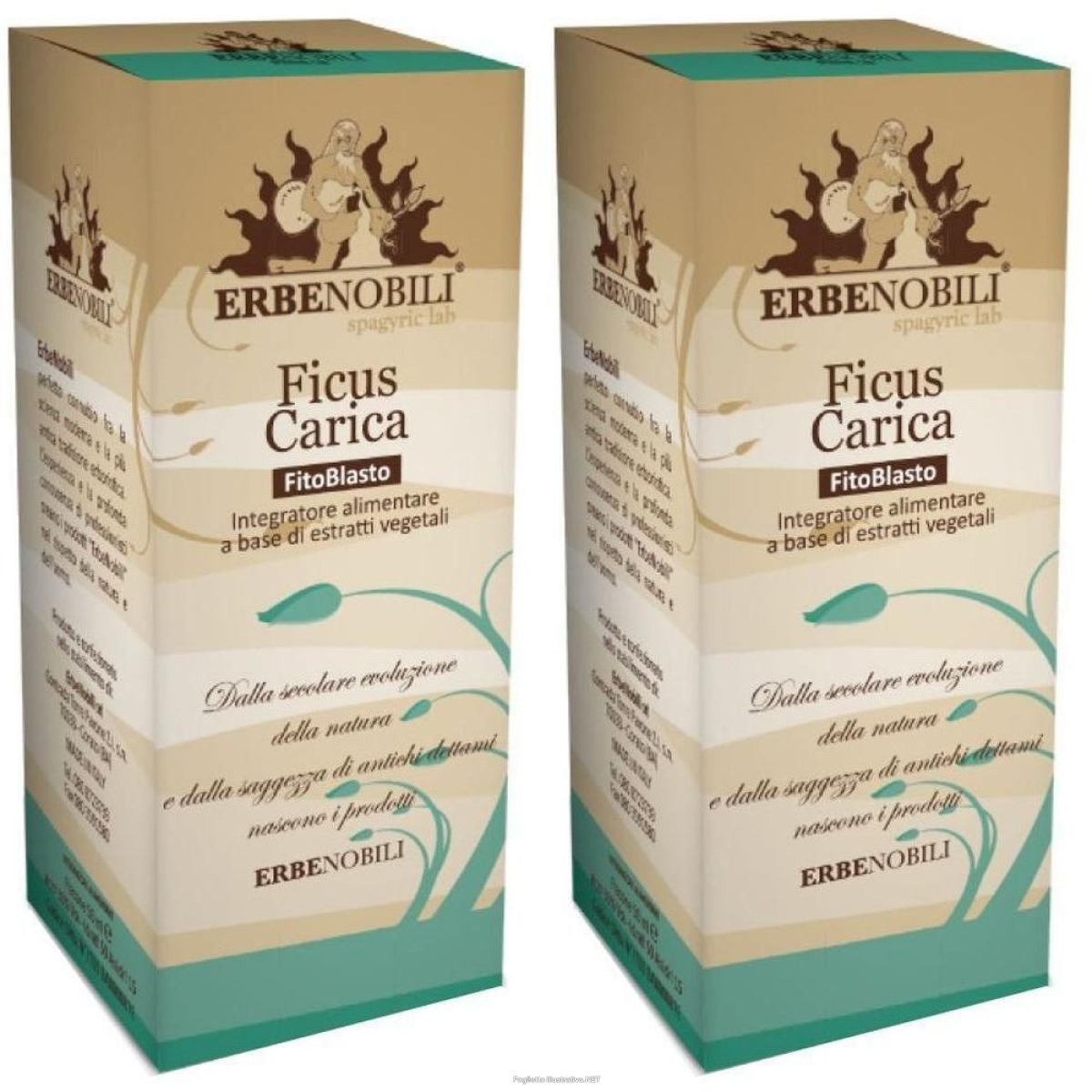 Compra Online fitoblasto ficus carica 50 ml 2x50 ml gocce orali e Trova l'offerta più bassa
