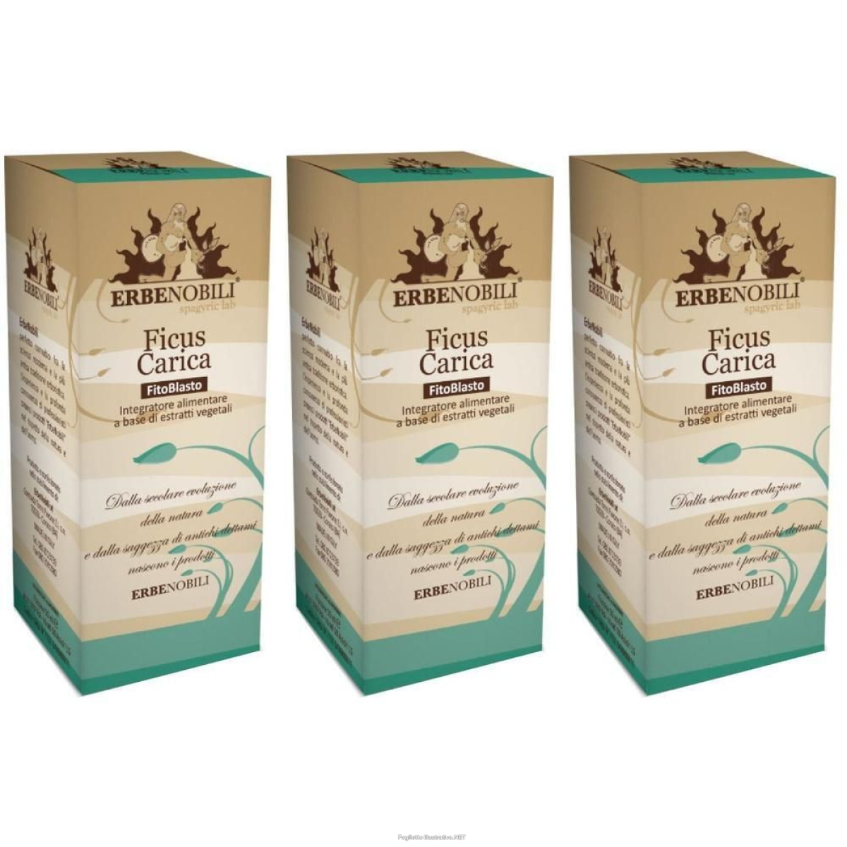Compra Online fitoblasto ficus carica 50 ml 3x50 ml gocce orali e Trova l'offerta più bassa