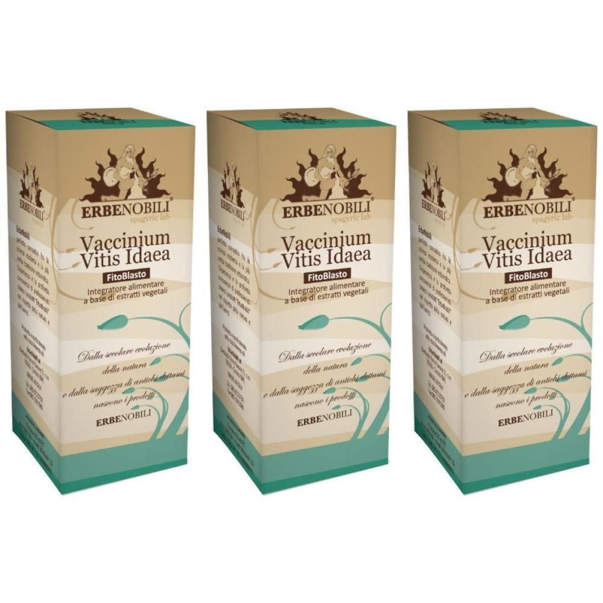 Compra Online Fitoblasto vaccinium vitis idaea 3x50 ml gocce orali e Trova l'offerta più bassa