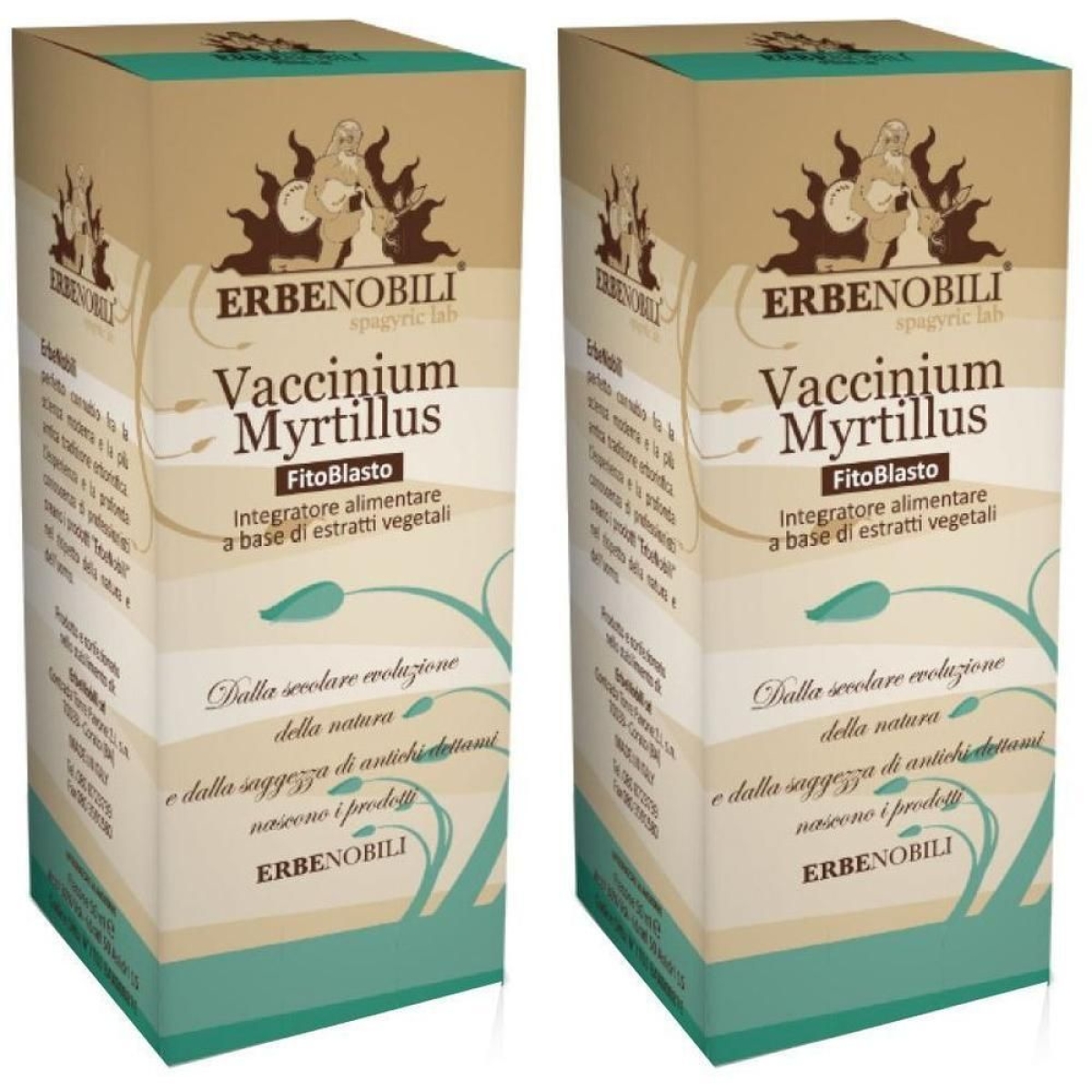 Compra Online Fitoblasto vaccinum myrtillus 50 ml 2x50 ml gocce orali e Trova l'offerta più bassa