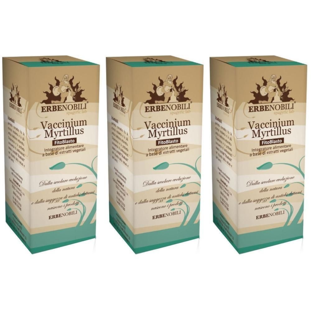 Compra Online Fitoblasto vaccinum myrtillus 50 ml 3x50 ml gocce orali e Trova l'offerta più bassa