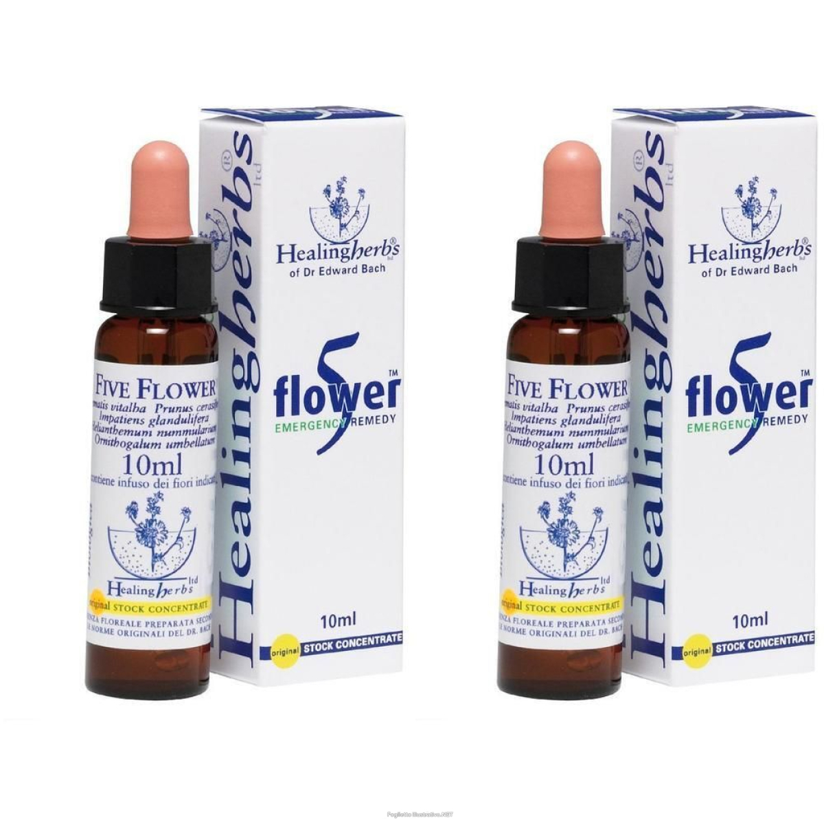 Compra Online five flower 10 ml ml gocce orali e Trova l'offerta più bassa