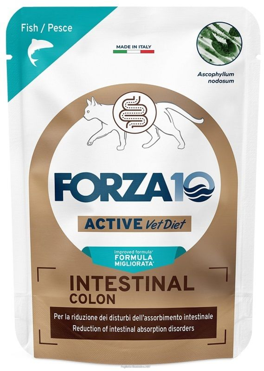 Compra Online forza 10 active cat intestinal colon pesce wet pate' 80 g e Trova l'offerta più bassa