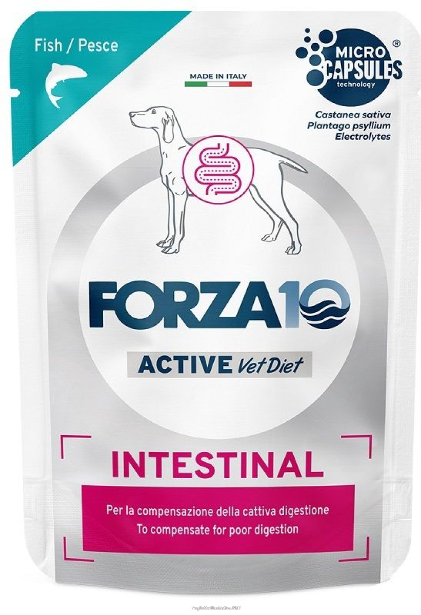 Compra Online forza 10 active dog intestinal pesce wet pate' 100 g e Trova l'offerta più bassa