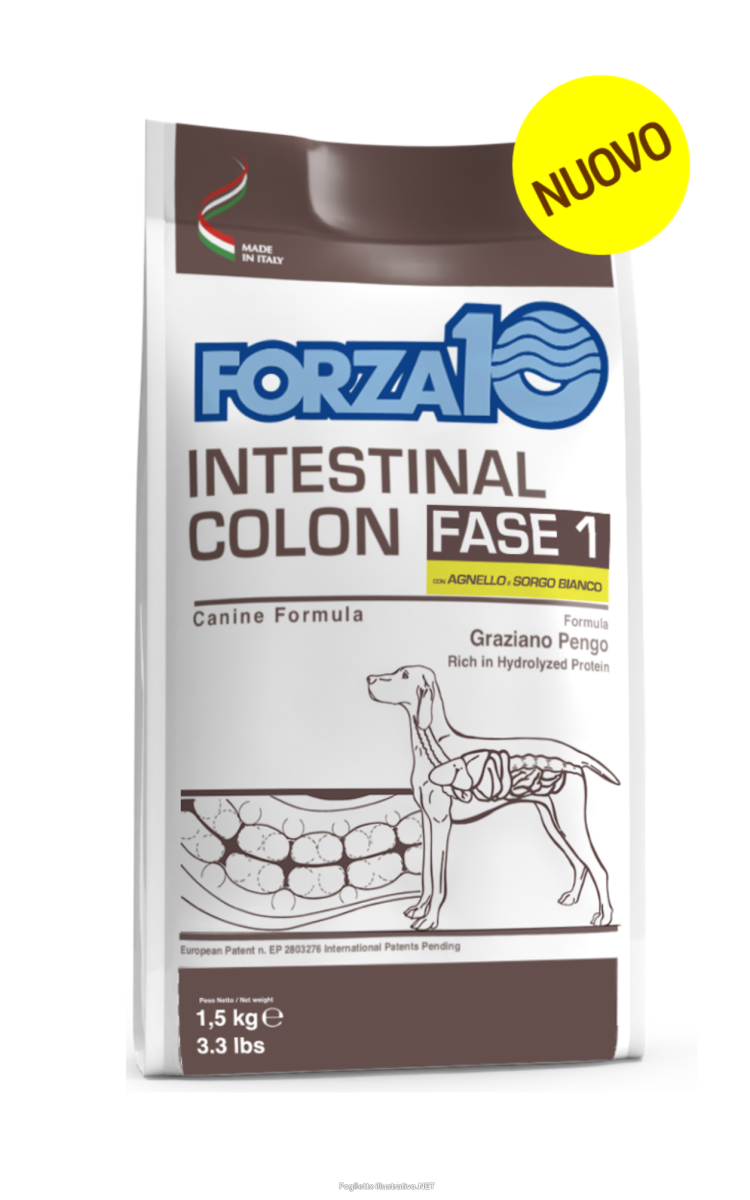 Compra Online forza 10 dog all breeds adulto intestinal colon fase 1 agnello/sorgo dry 1,5 kg e Trova l'offerta più bassa