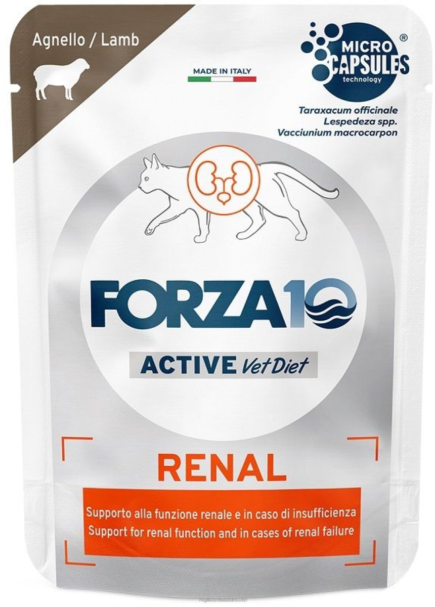 Compra Online forza10 gatto diet renal active agnello 80gr (bustina) e Trova l'offerta più bassa
