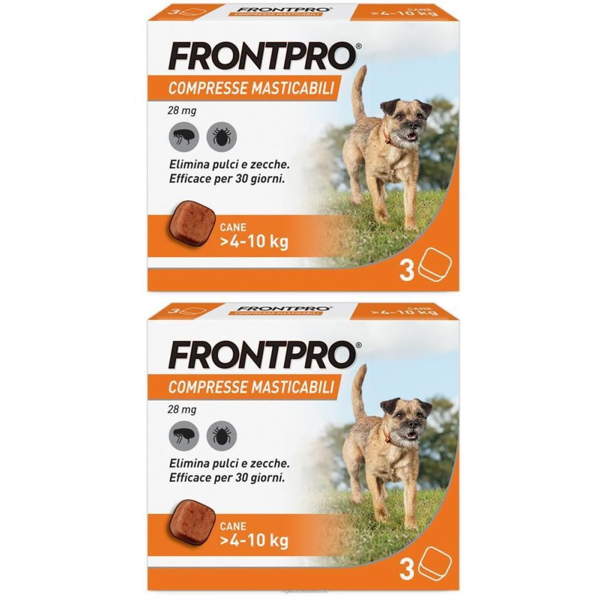 Compra Online frontpro x3 compresse masticabili, antiparassitario per cani (4-10kg) e Trova l'offerta più bassa