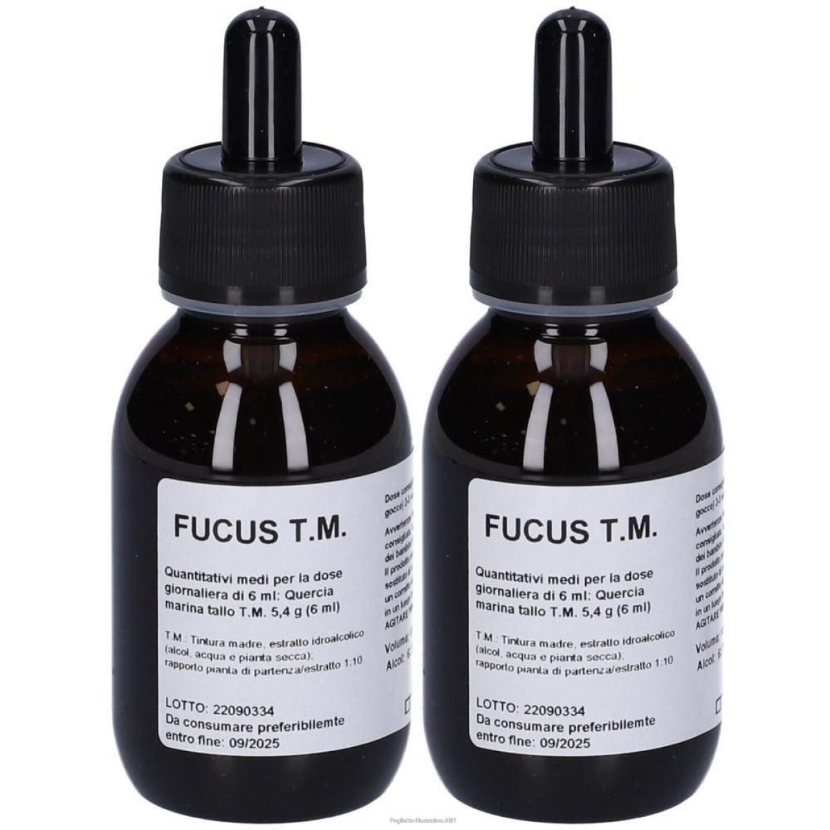 Compra Online fucus tintura madre gocce100ml 2x100 ml e Trova l'offerta più bassa
