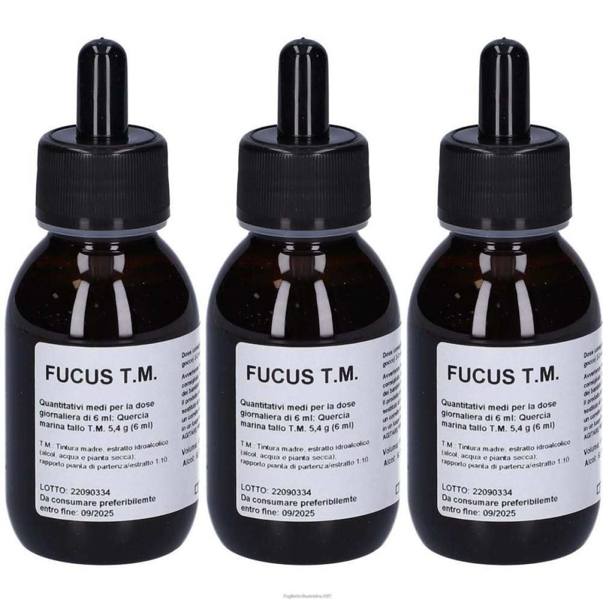 Compra Online fucus tintura madre gocce100ml 3x100 ml e Trova l'offerta più bassa