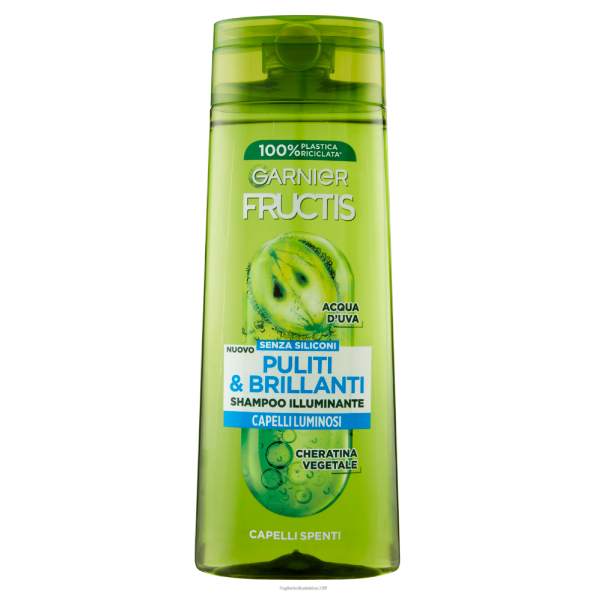 Acquista Online garnier fr sh pul&bril 250ml e Cerca il miglior prezzo