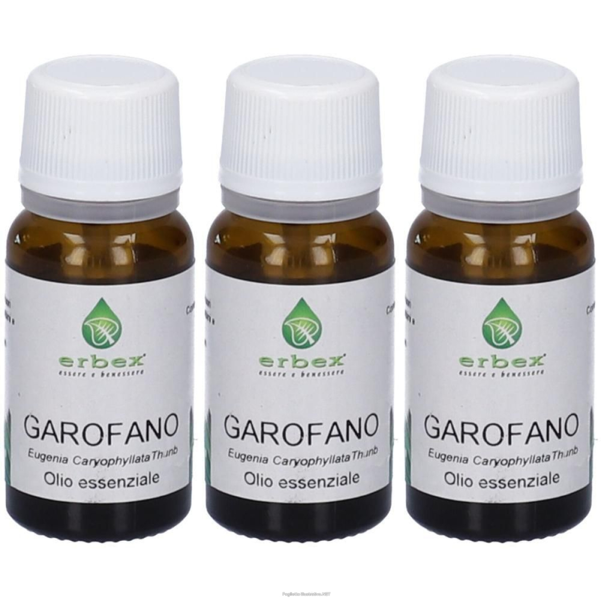 Acquista Online garofano chiodi olio essenziale 10ml 3x10 ml e Cerca il miglior prezzo