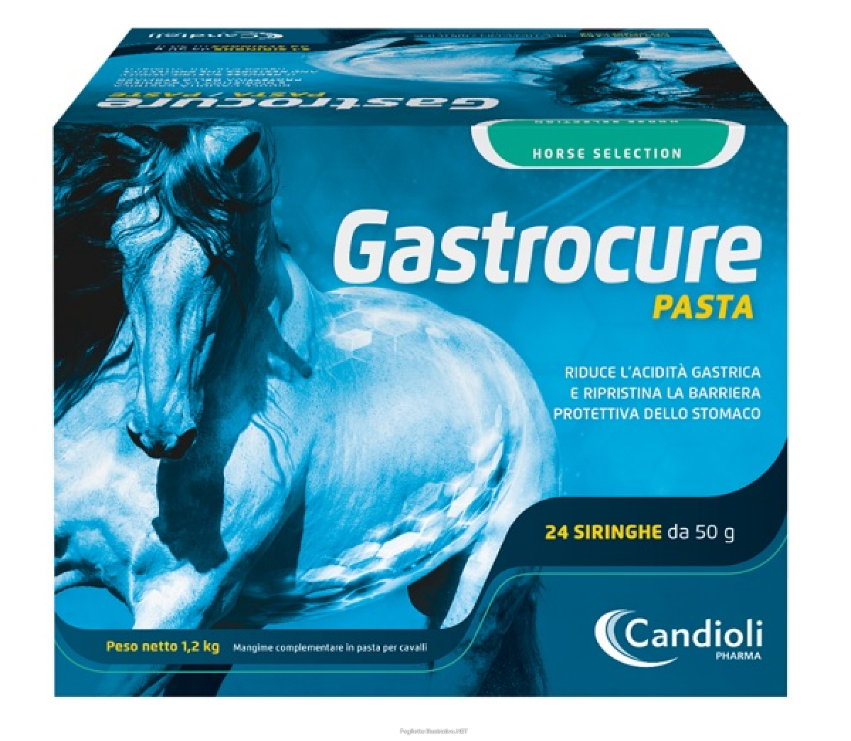 Acquista Online gastrocure 24 siringhe preriempite mangime complementare in pasta cavalli e Cerca il miglior prezzo