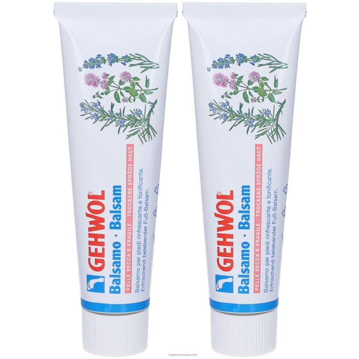 Acquista Online gehwol® balsamo pelle secca e fragile 2x75 ml e Cerca il miglior prezzo