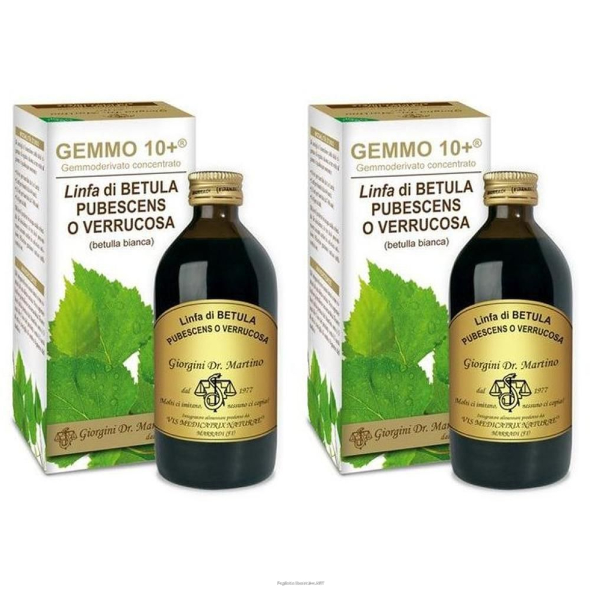 Acquista Online gemmo 10+ betulla b linfa 200 ml liquido analcolico 2x200 ml gocce ora e Cerca il miglior prezzo