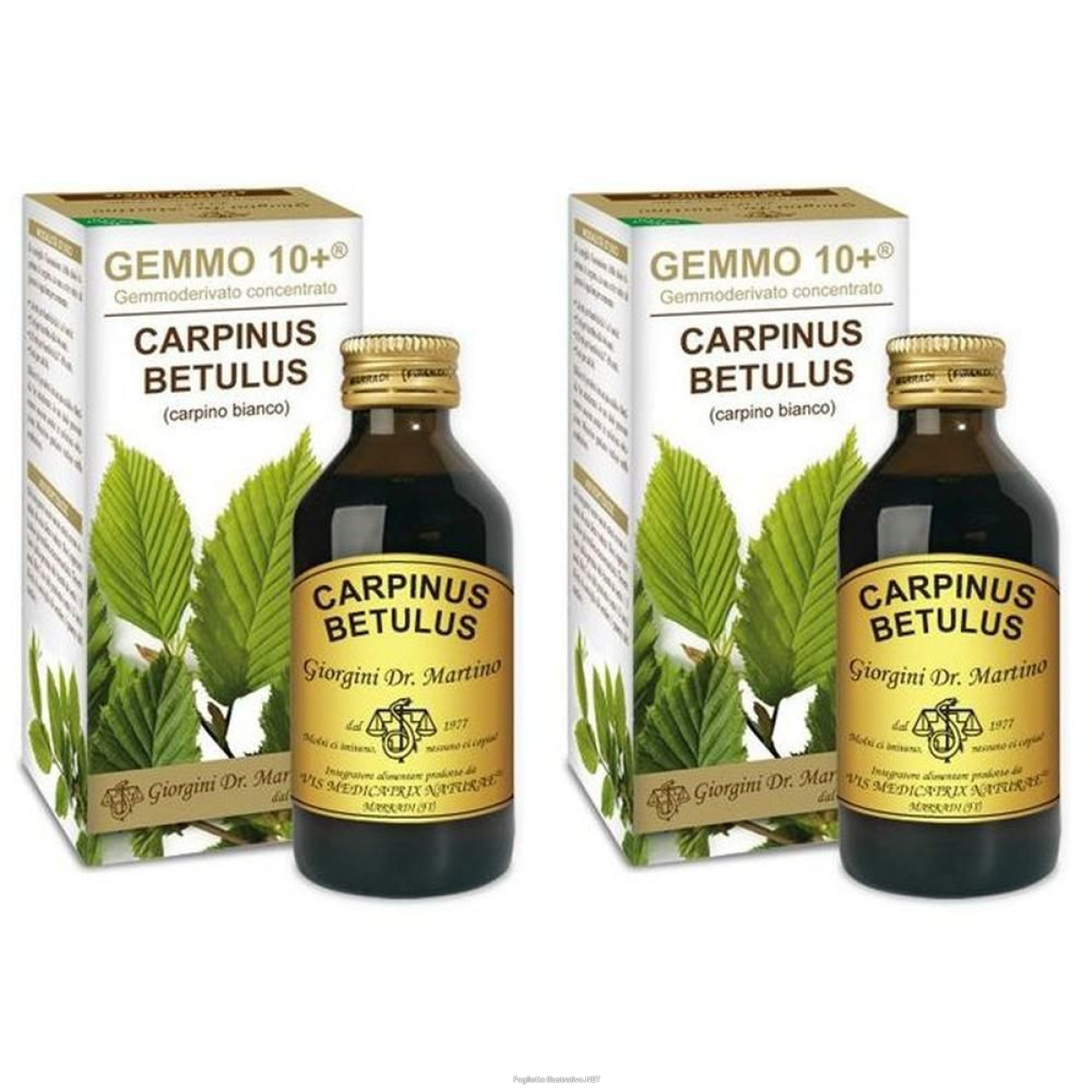Acquista Online gemmo 10+ carpino bianco 100 ml liquido analcolico 2x100 ml soluzione e Cerca il miglior prezzo