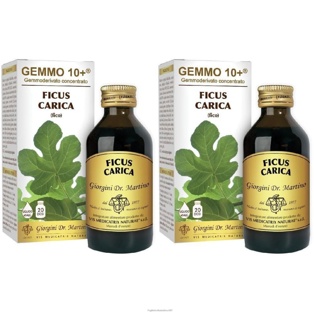 Acquista Online gemmo 10+ fico liquido analcolico 100 ml 2x100 ml soluzione orale e Cerca il miglior prezzo