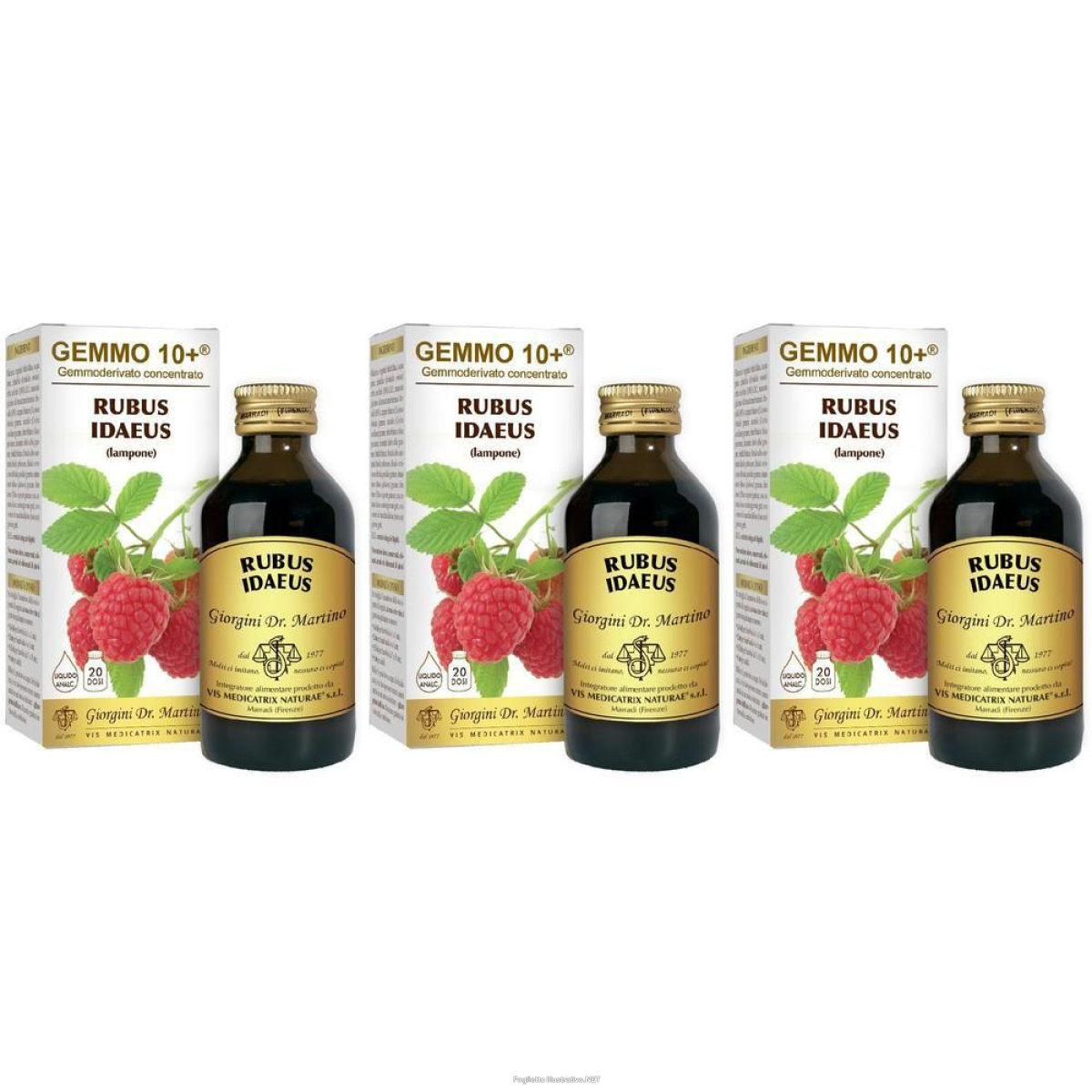 Acquista Online gemmo 10+ lampone liquido analcolico 100 ml 3x100 ml soluzione orale e Cerca il miglior prezzo