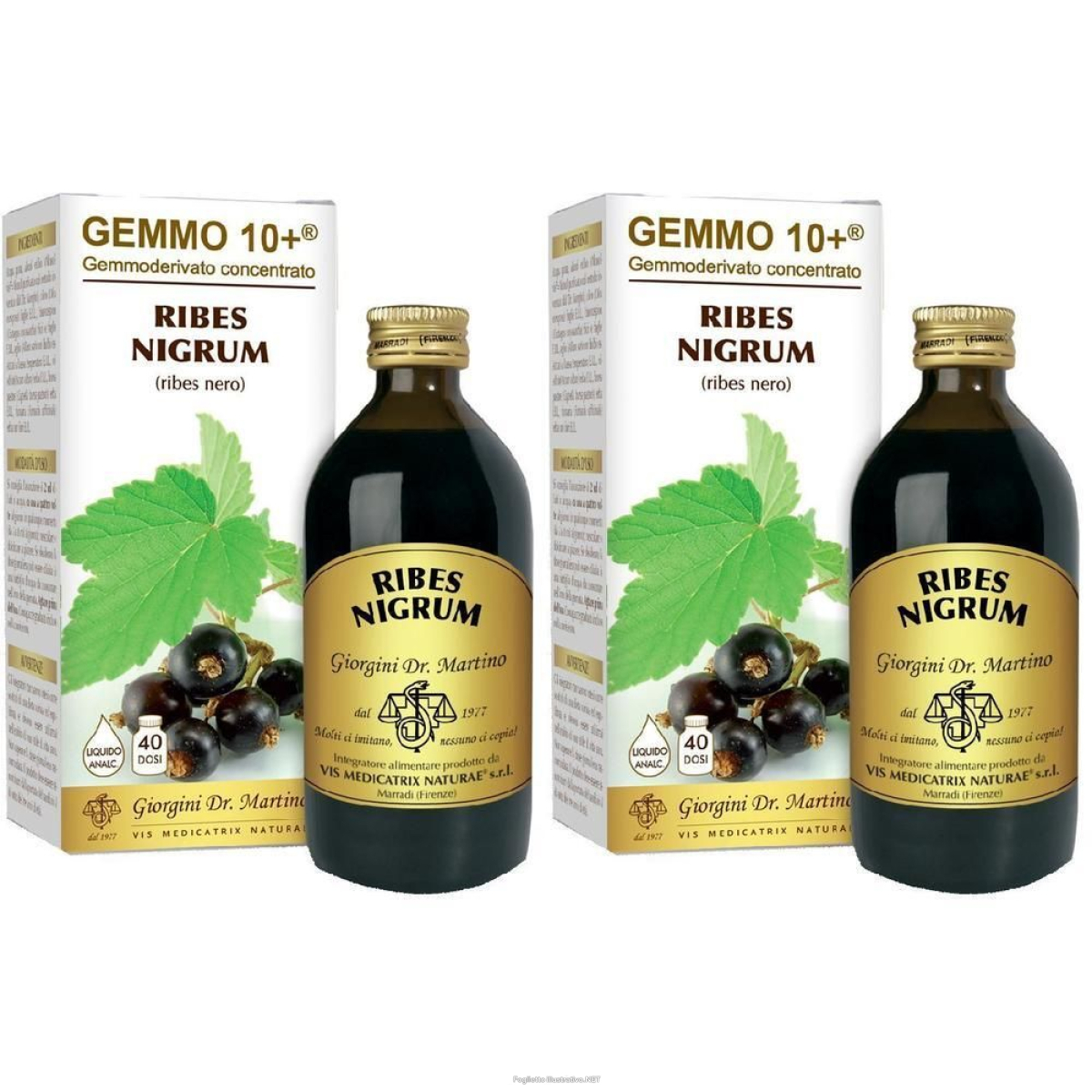 Acquista Online gemmo 10+ ribes nero 200 ml liquido analcolico 2x200 ml soluzione oral e Cerca il miglior prezzo