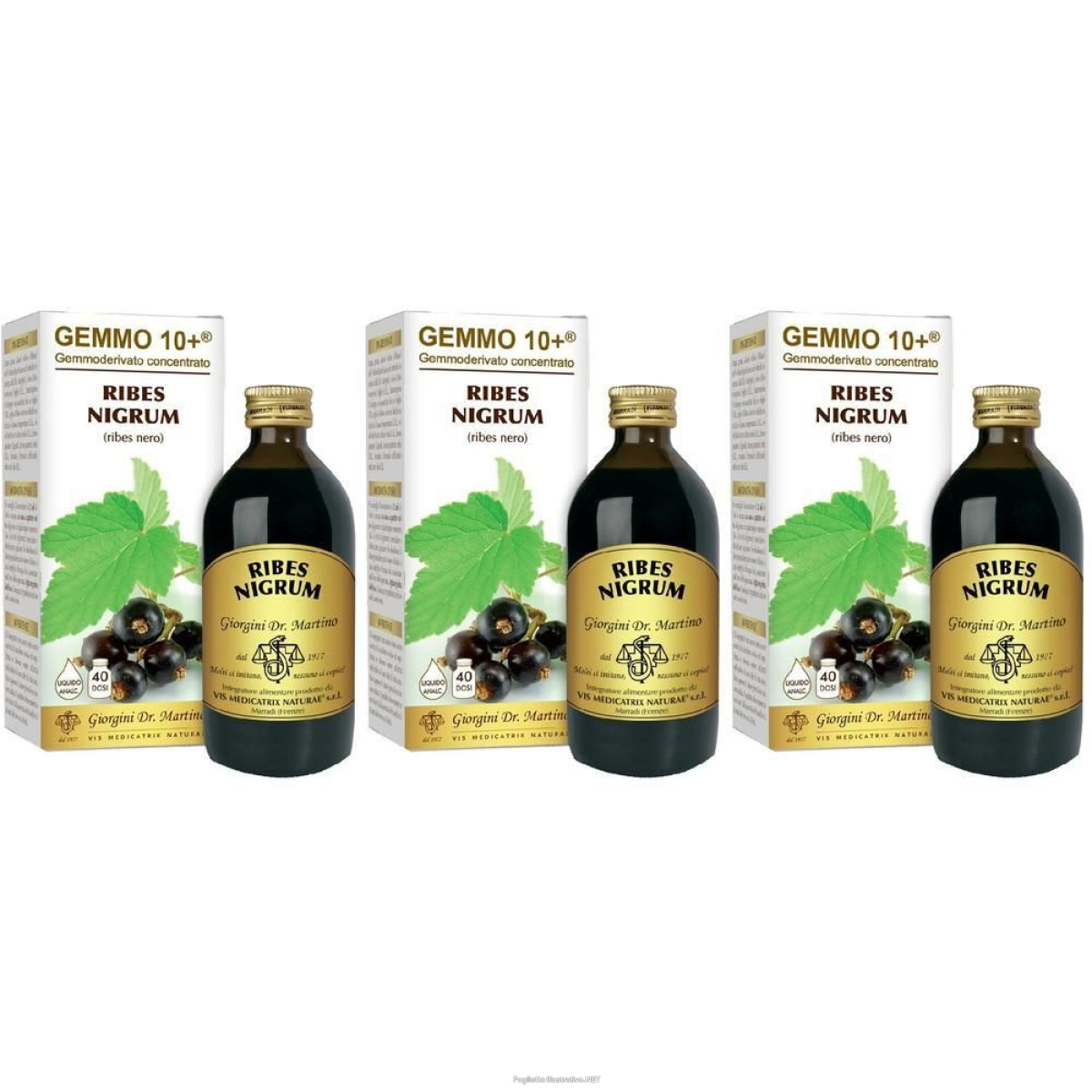 Acquista Online gemmo 10+ ribes nero 200 ml liquido analcolico 3x200 ml soluzione oral e Cerca il miglior prezzo