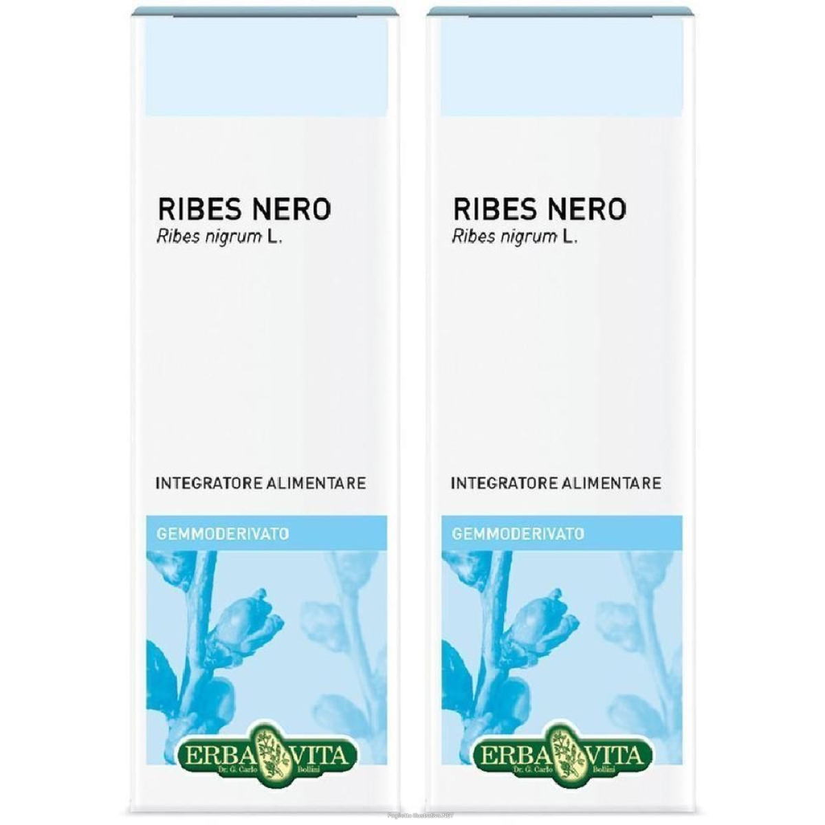 Acquista Online gemmoderivato ribes nero 50 ml 2x50 ml soluzione orale e Cerca il miglior prezzo