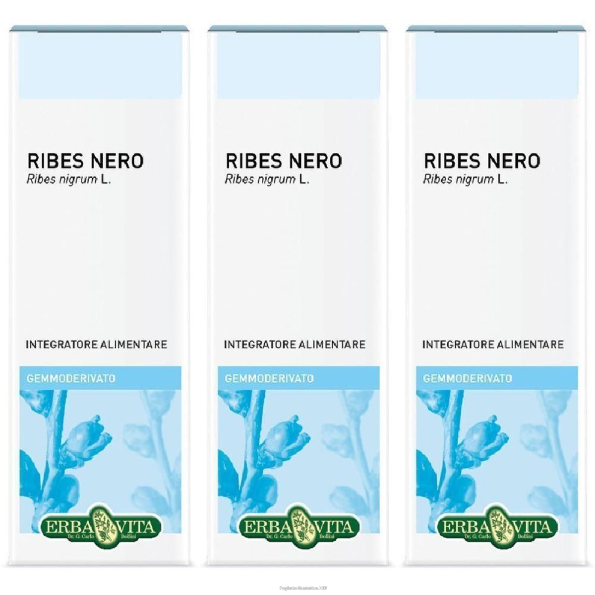 Acquista Online gemmoderivato ribes nero 50 ml 3x50 ml soluzione orale e Cerca il miglior prezzo