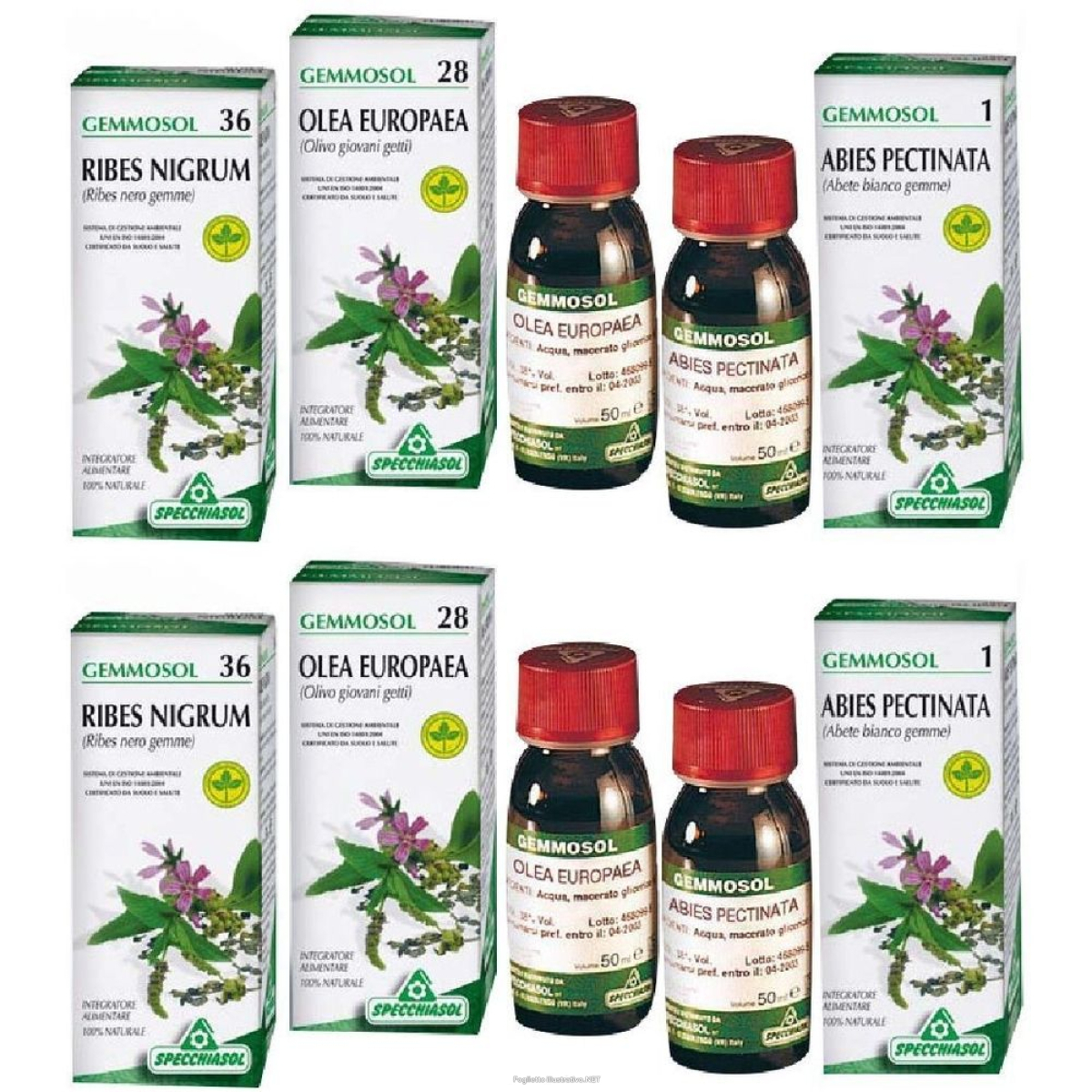 Acquista Online gemmosol linfa di betulla set da 2 2x50 ml e Cerca il miglior prezzo