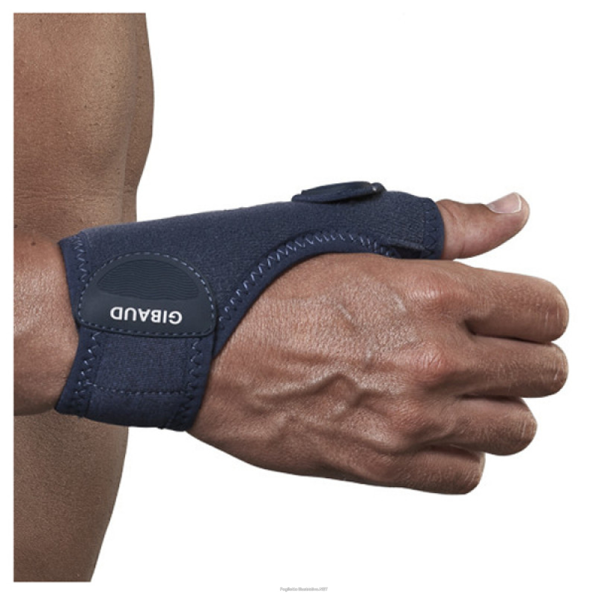 Acquista Online gibaud ortho rhizogib dx 3 e Cerca il miglior prezzo