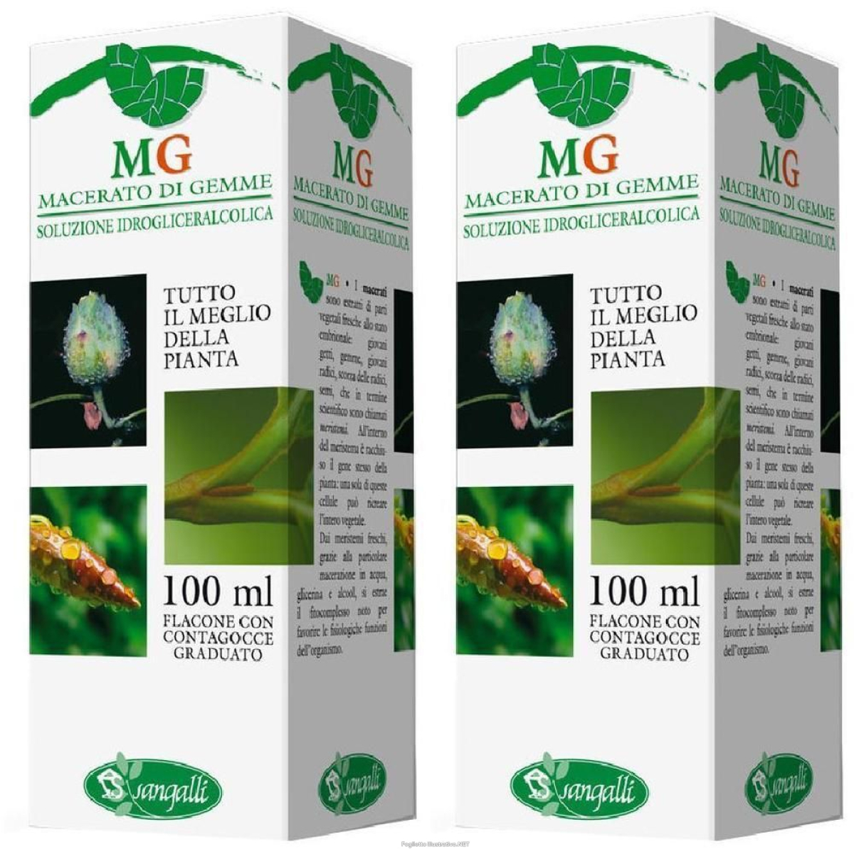 Acquista Online ginepro macerato glicerico 100 ml 2x100 ml gocce e Cerca il miglior prezzo