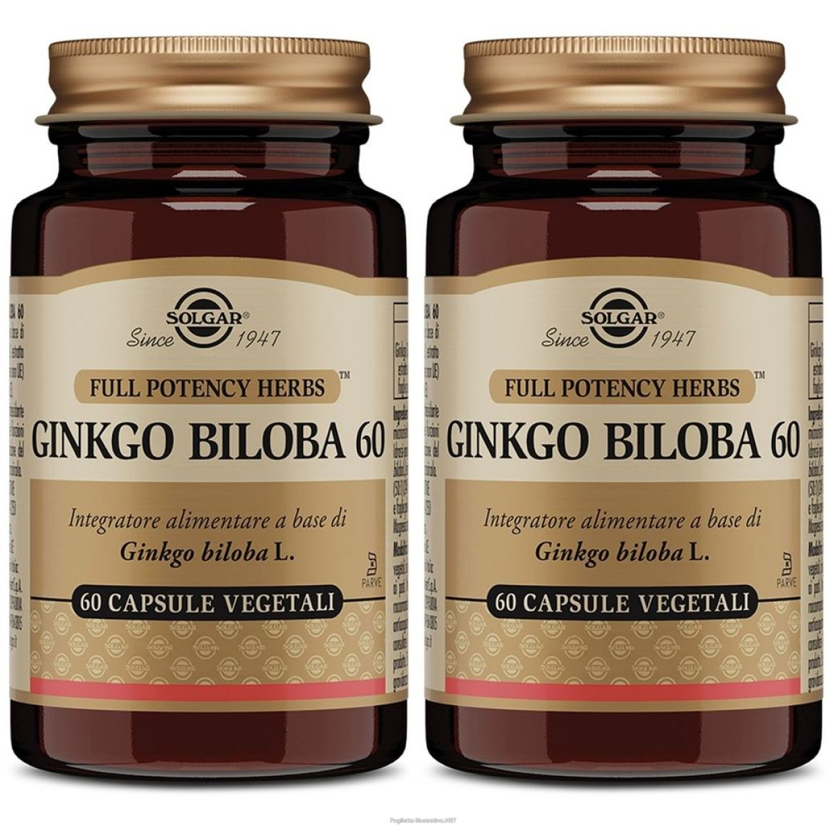 Acquista Online ginkgo biloba 60 capsule vegetali set da 2 2x21 g e Cerca il miglior prezzo