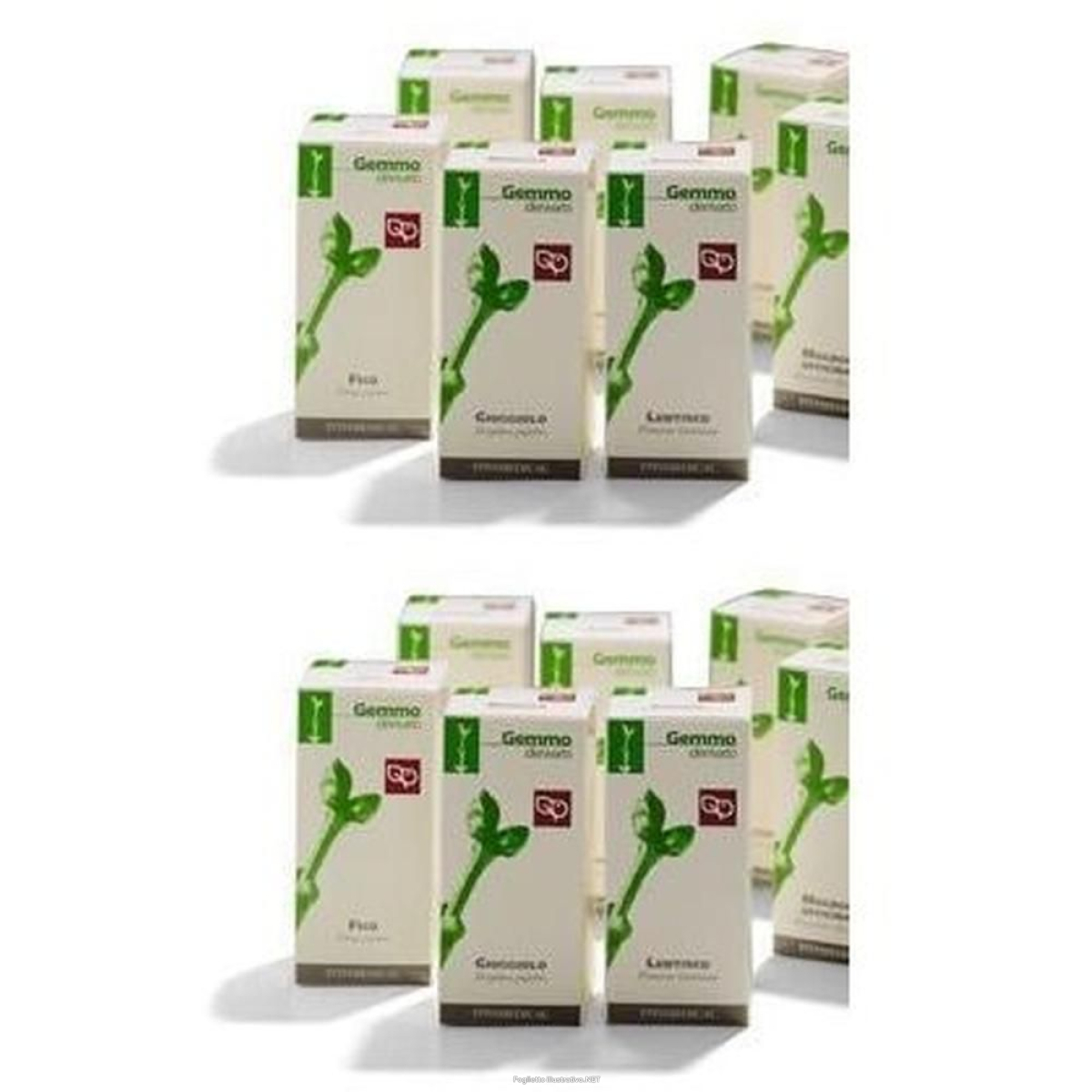 Acquista Online giuggiolo macerato glicerico 100 ml 2x100 ml gocce orali e Cerca il miglior prezzo