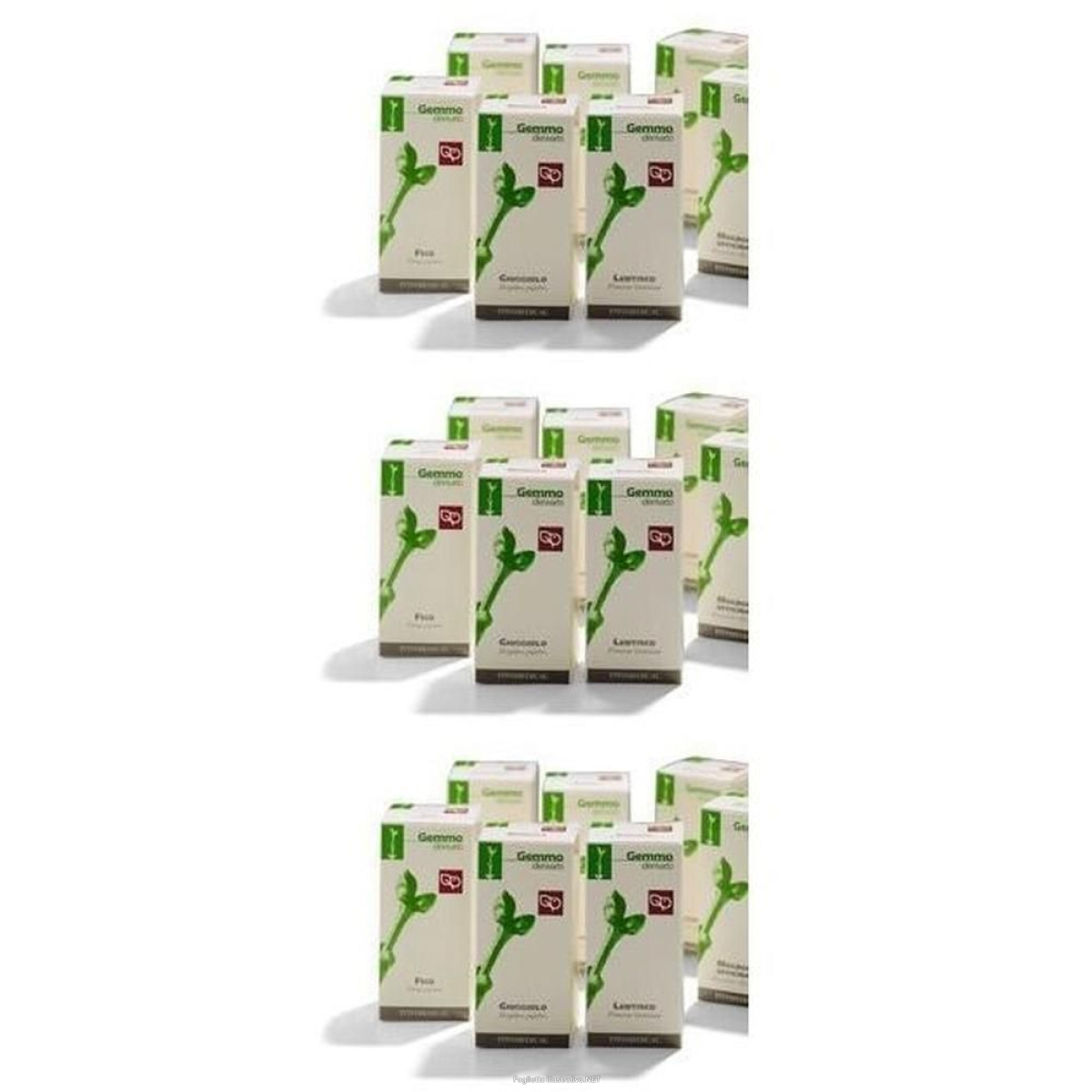Acquista Online giuggiolo macerato glicerico 100 ml 3x100 ml gocce orali e Cerca il miglior prezzo