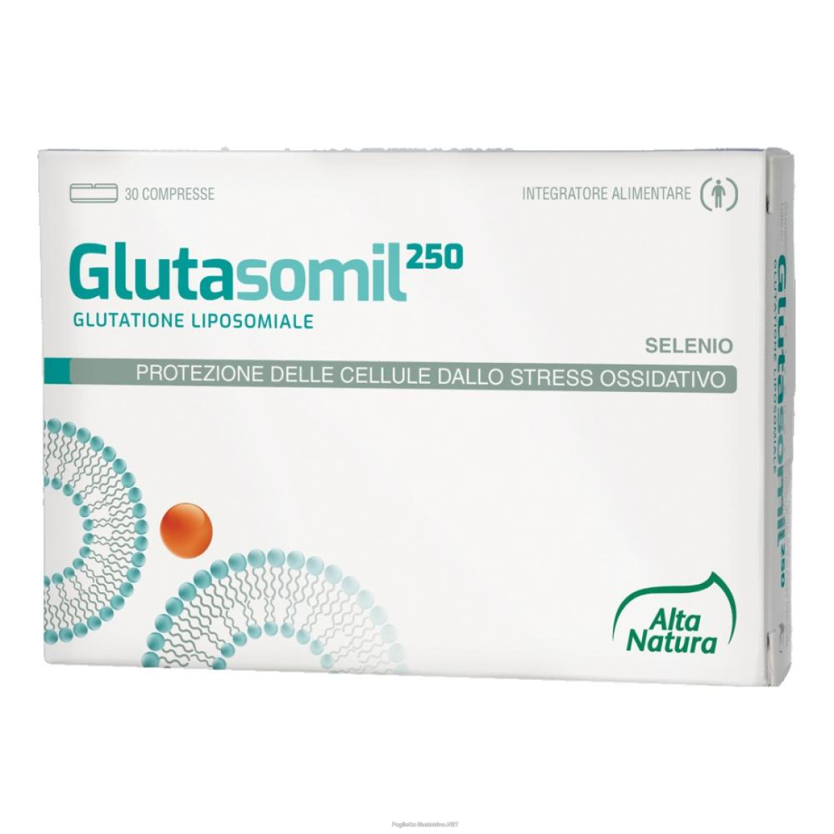 Acquista Online glutasomil 250 30 compresse e Cerca il miglior prezzo