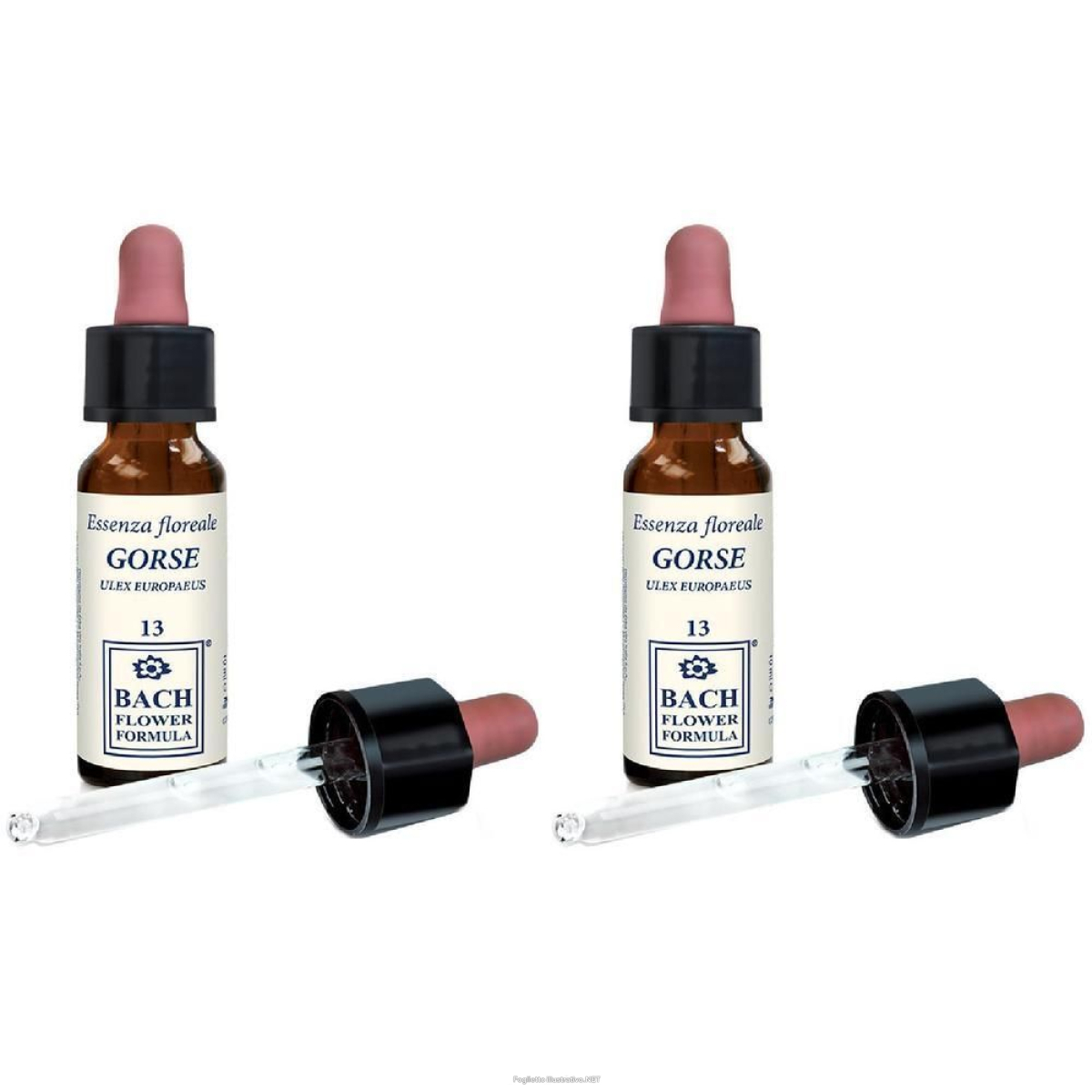 Acquista Online Gorse Original Gocce 10 ml 2x10 ml Orali e Cerca il miglior prezzo