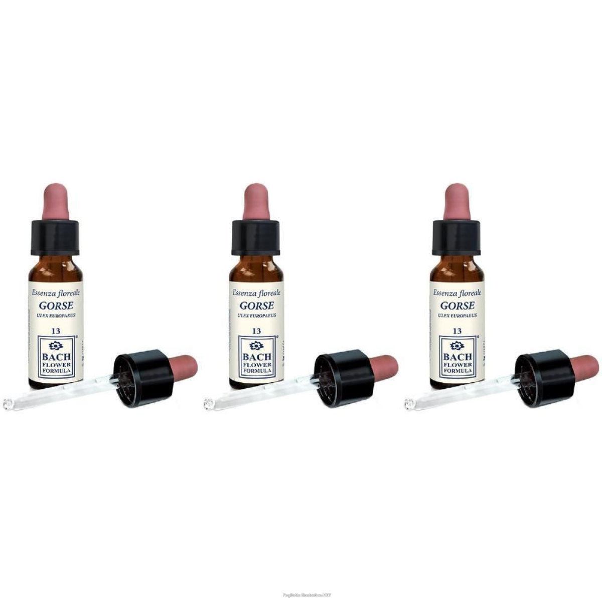 Acquista Online Gorse Original Gocce 10 ml 3x10 ml Orali e Cerca il miglior prezzo