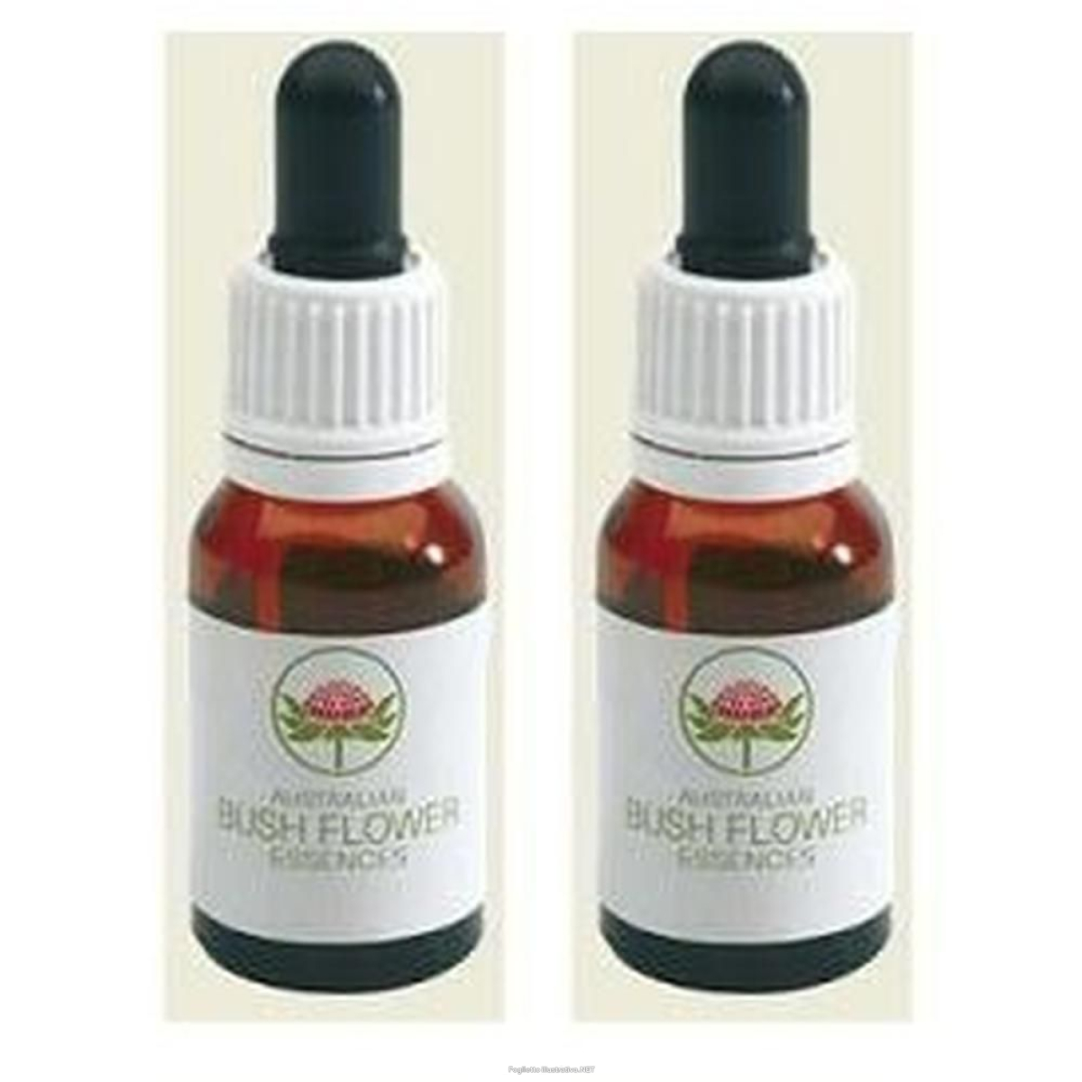 Acquista Online green essence australian 15 ml ml essenza e Cerca il miglior prezzo