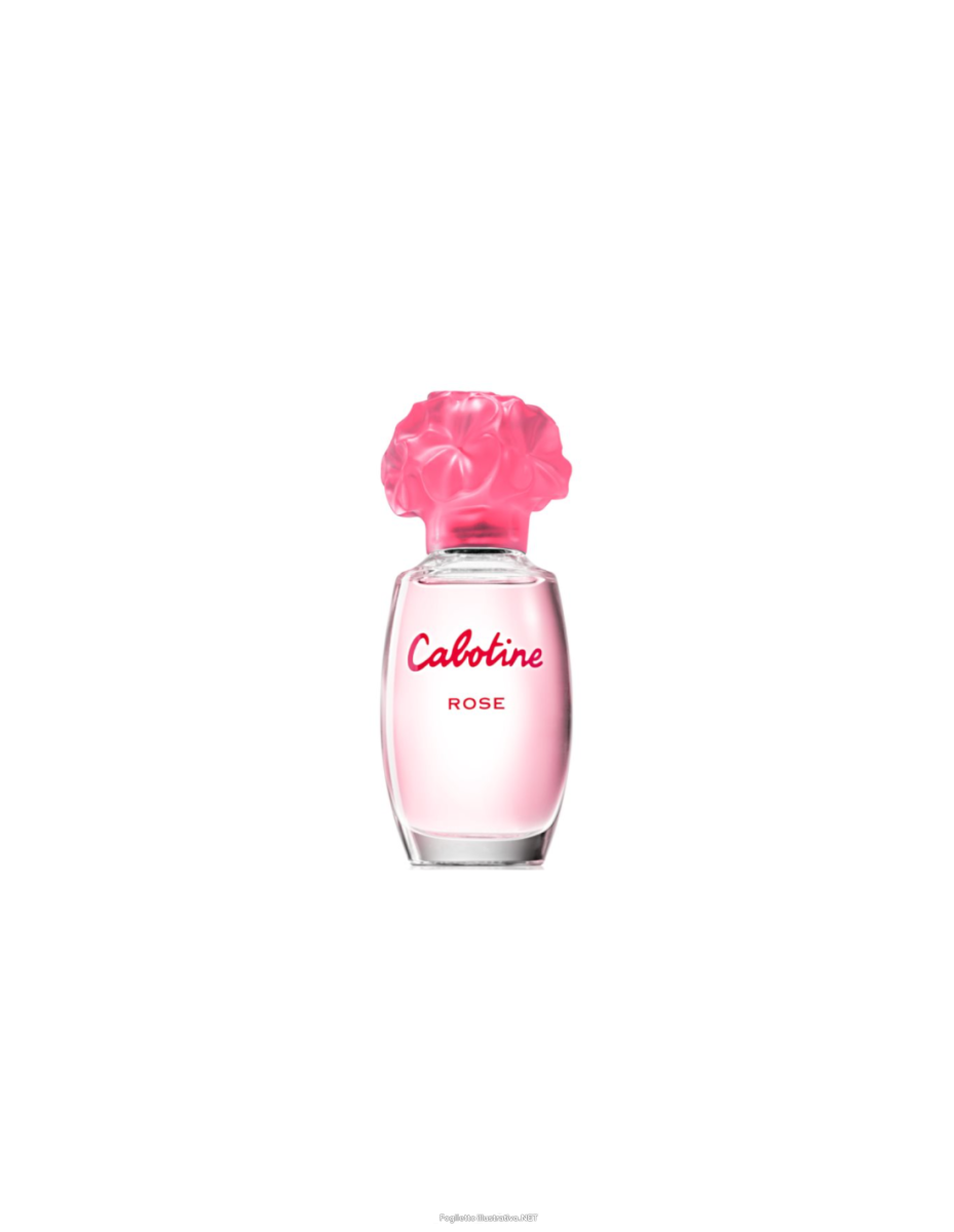 Acquista Online gres cabot rose (w) edt 100ml e Cerca il miglior prezzo