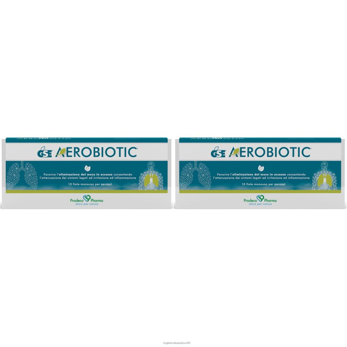 Acquista Online gse® aerobiotic soluzione per aerosol set da 2 2x10x5 ml fiale e Cerca il miglior prezzo