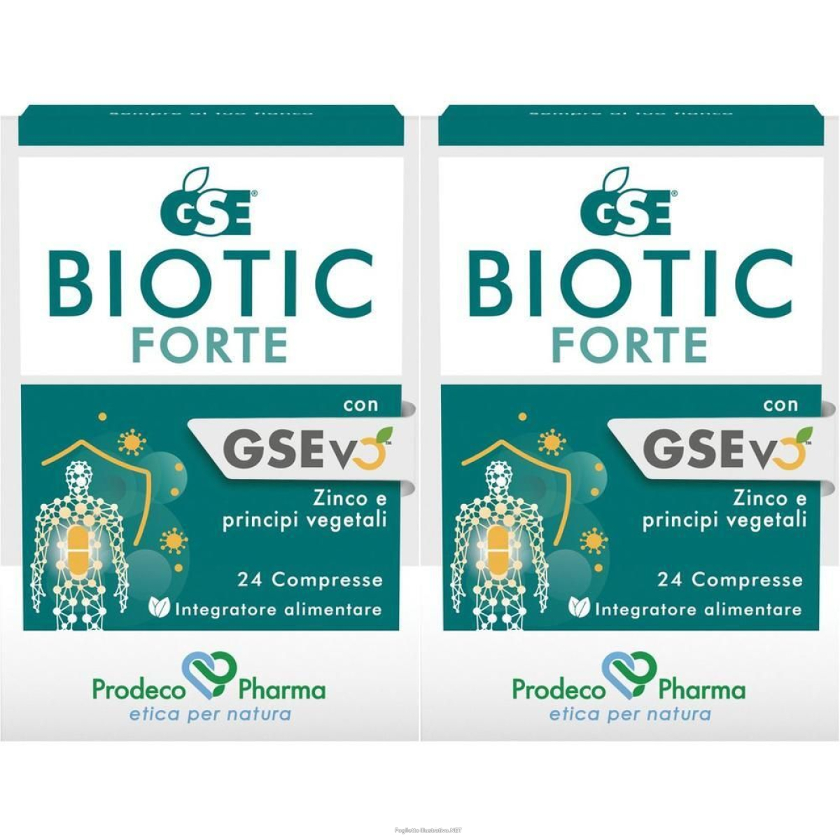 Acquista Online gse biotic forte compresse 2x26,4 g e Cerca il miglior prezzo