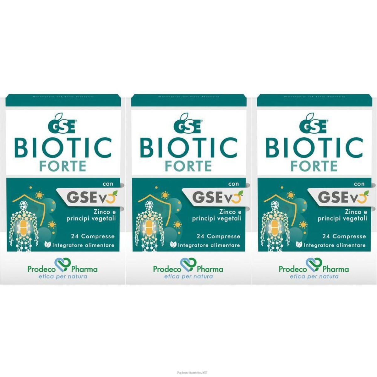 Acquista Online gse biotic forte compresse 3x26,4 g e Cerca il miglior prezzo