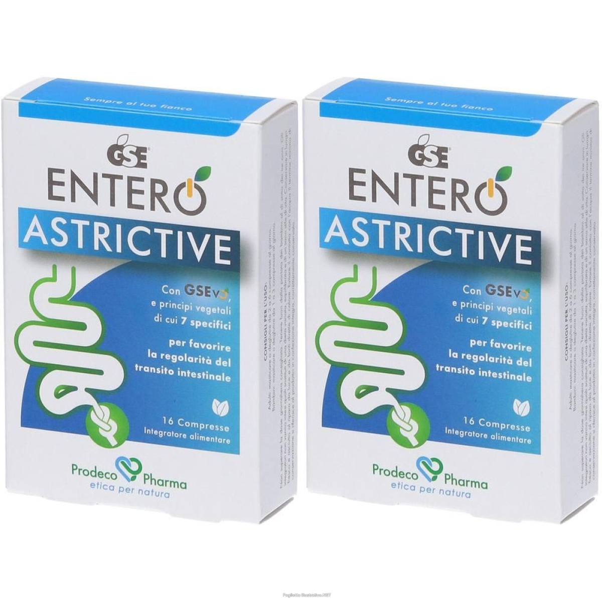 Acquista Online gse entero astrictive 16 compresse 2x19,2 g e Cerca il miglior prezzo