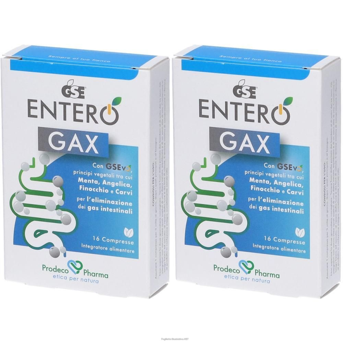 Acquista Online gse entero gax compresse 2x22,4 g e Cerca il miglior prezzo