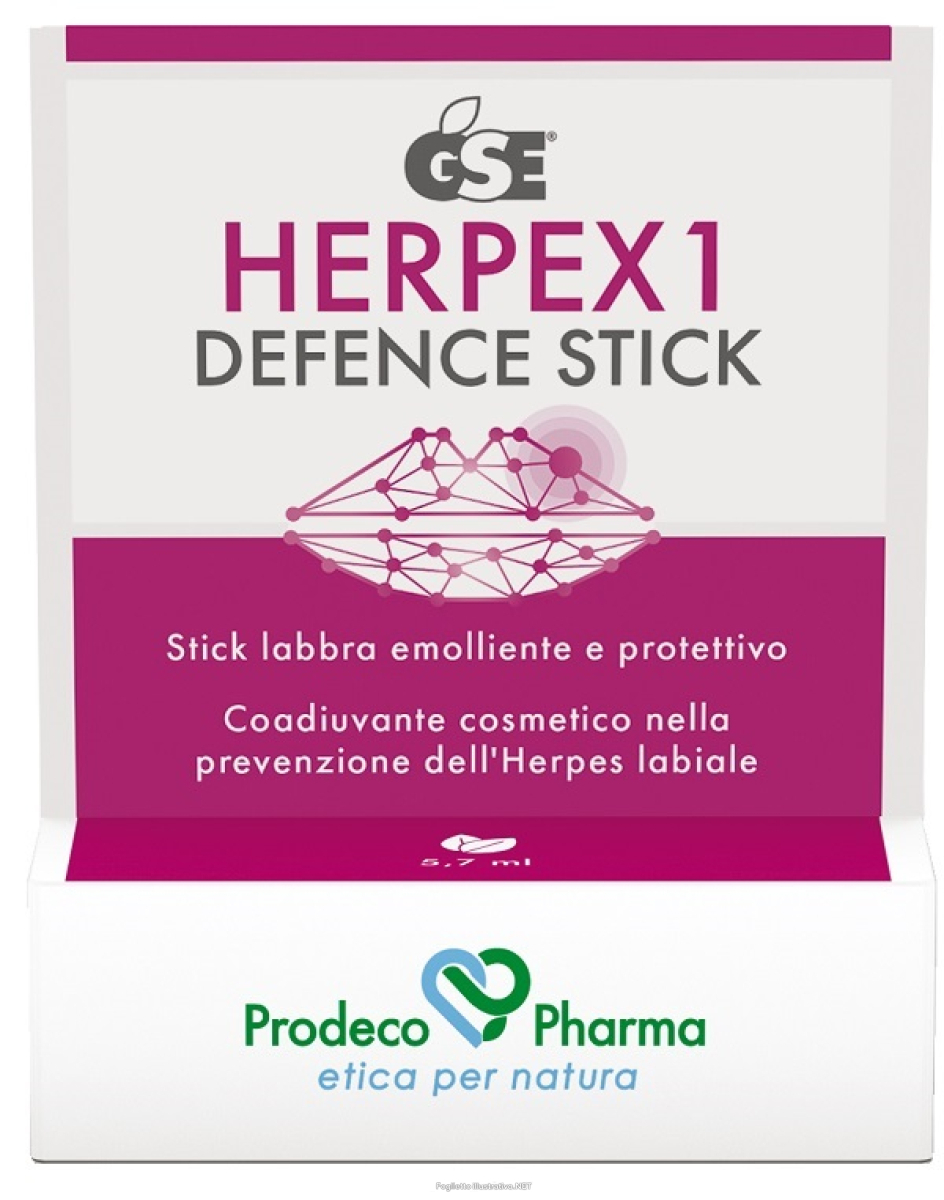 Acquista Online gse herpex 1 defence stick e Cerca il miglior prezzo