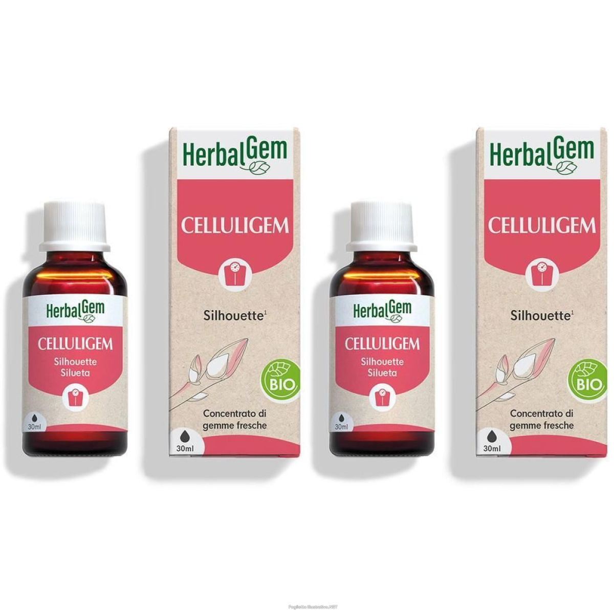 Trova prezzi di herbalgem celluligem silhouette concentrato di gemme fresche gocce 2x3 e compra online