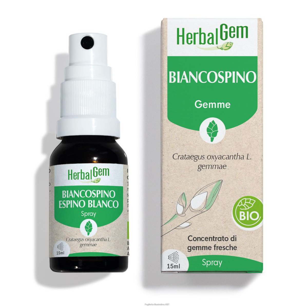 Trova prezzi di herbalgem colestegem colesterolo concentrato di gemme fresche gocce 30 e compra online
